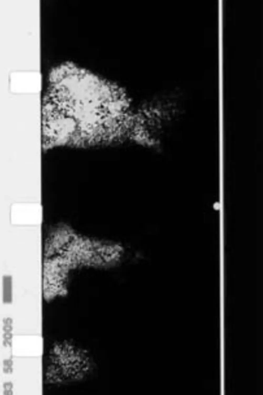 Poster of the movie “He was born, he suffered, he died.”