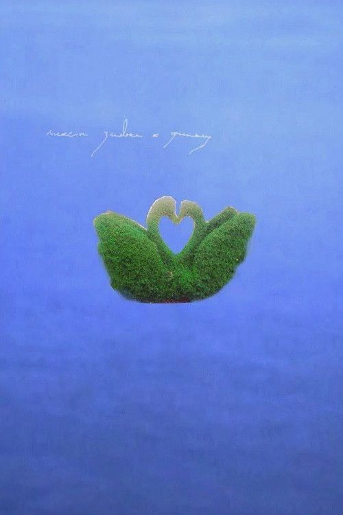 Poster of the movie Text For a Film Review