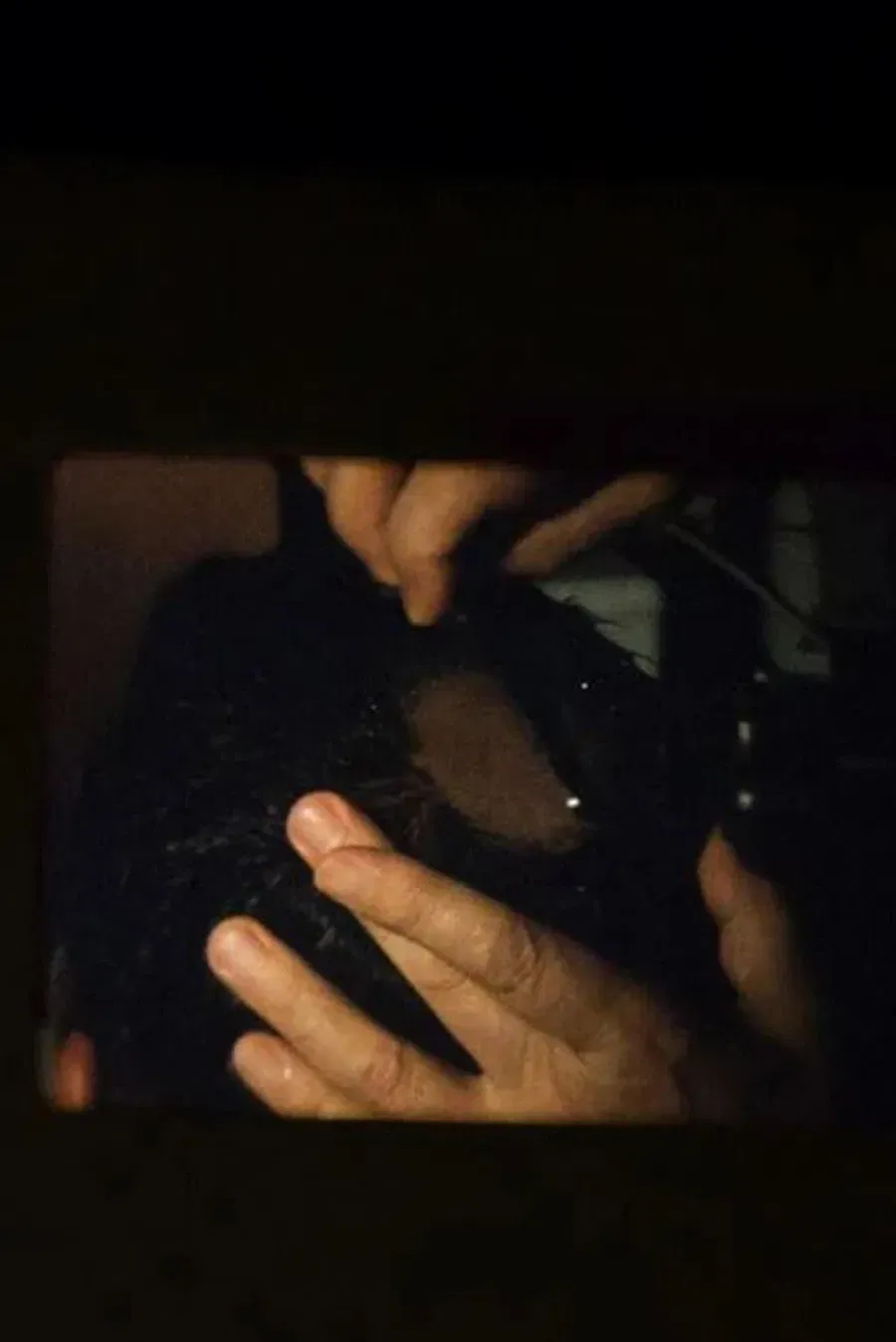 Poster of the movie The Initiate