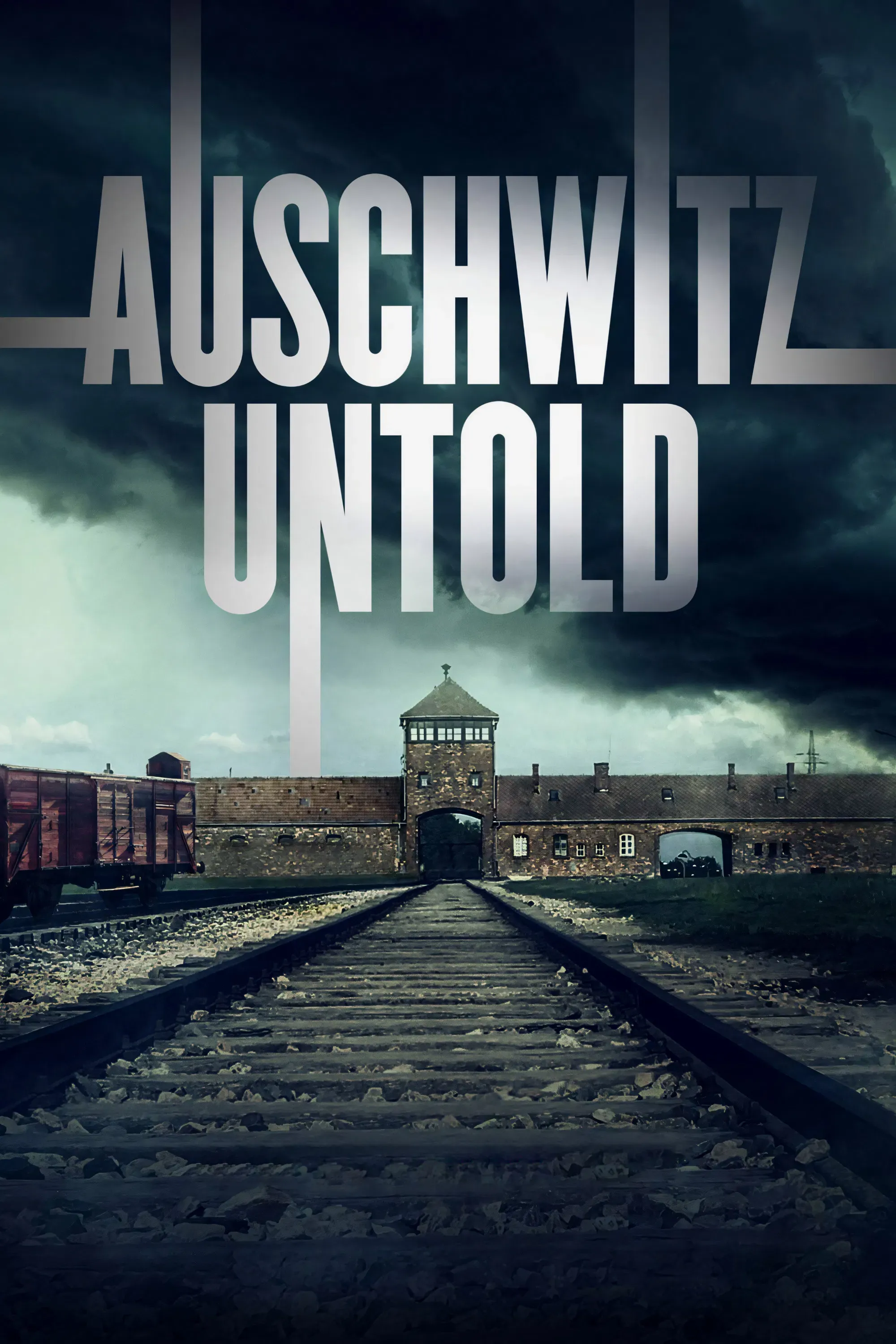 Poster of Auschwitz Untold: In Colour
