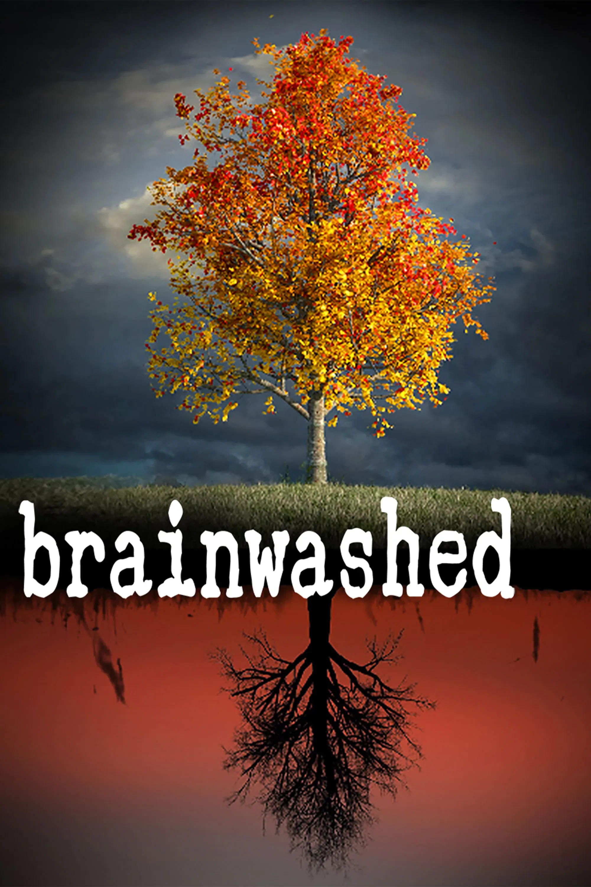 Poster of Brainwashed