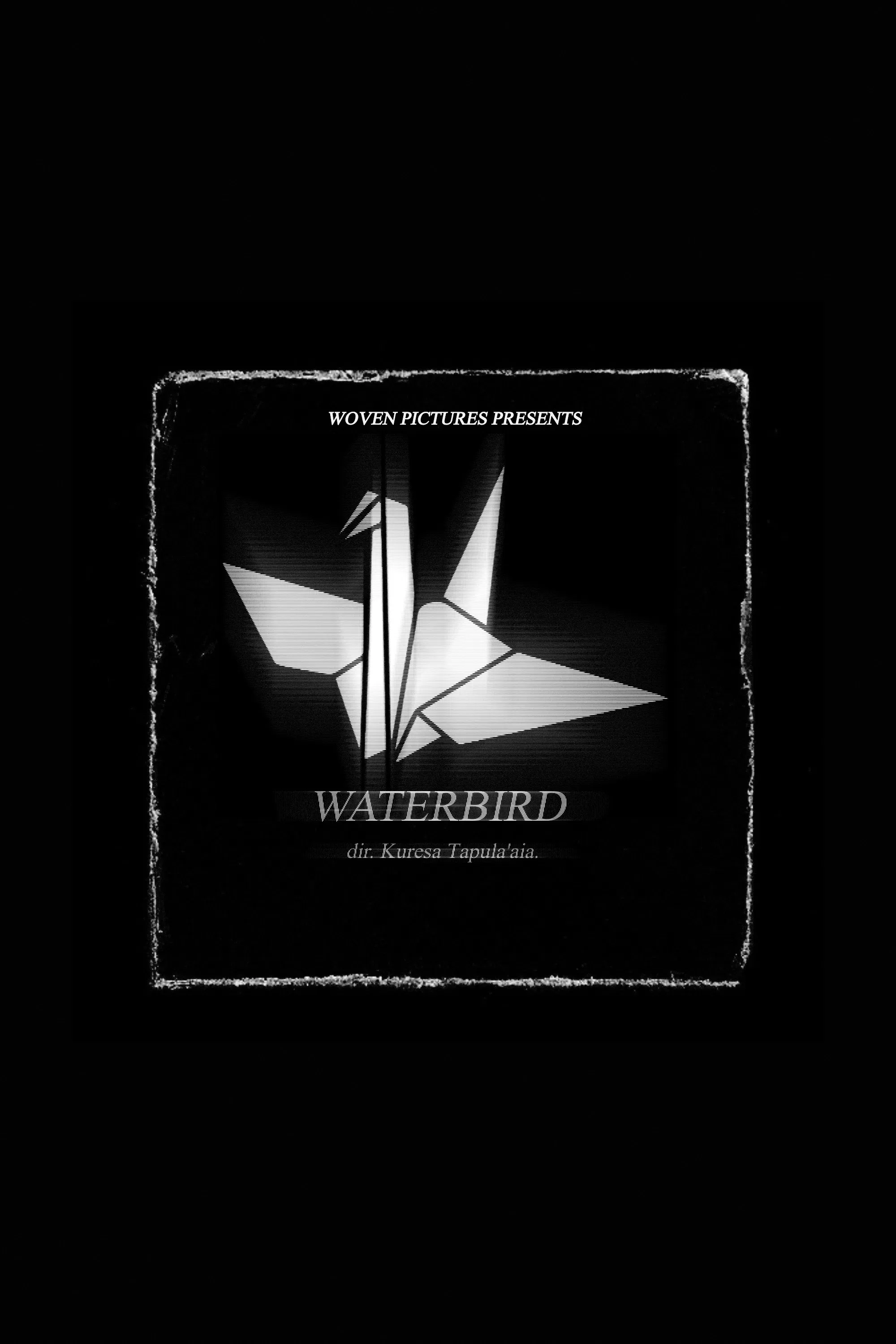 Poster of the movie Waterbird