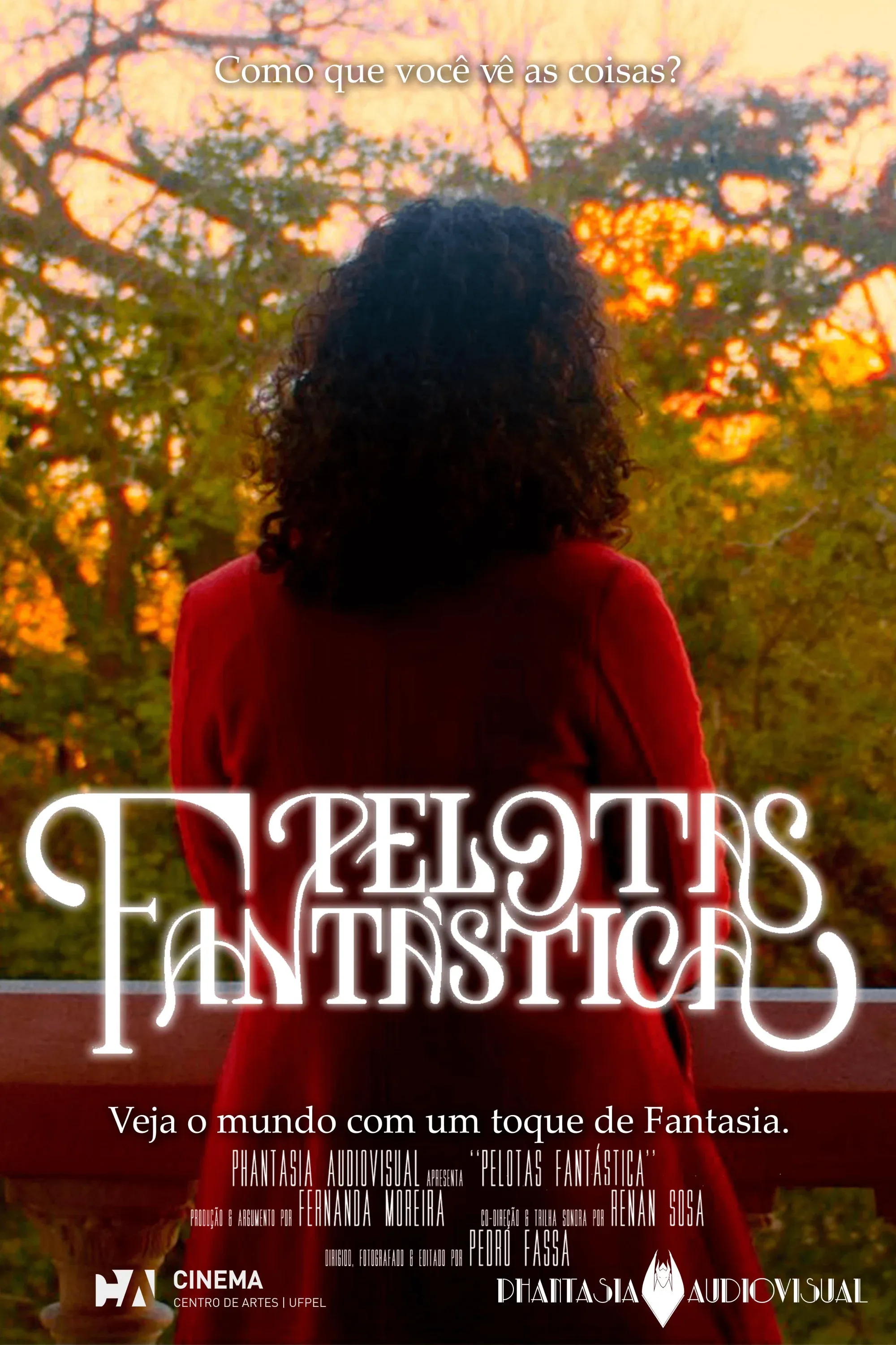 Poster for Pelotas Fantástica