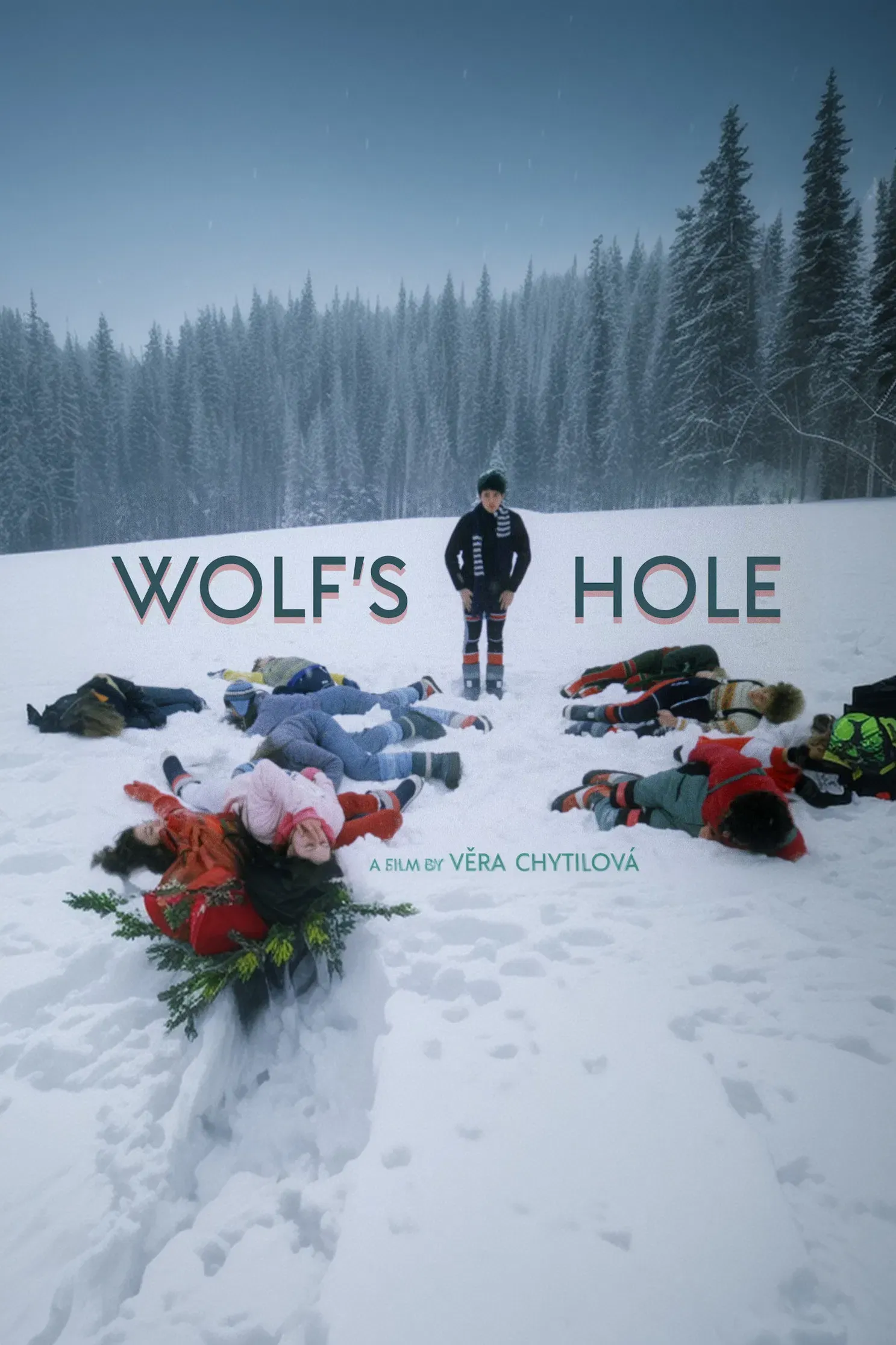 Poster of the movie Wolf's Hole