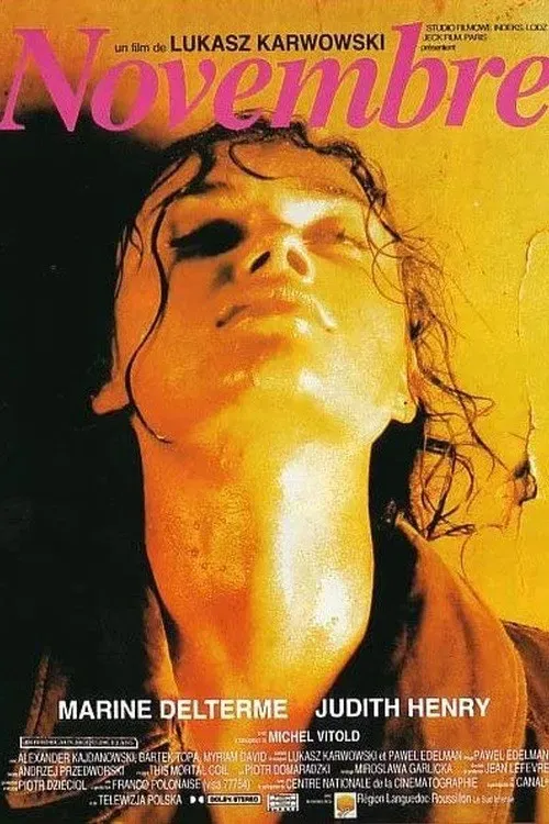 Poster of the movie November