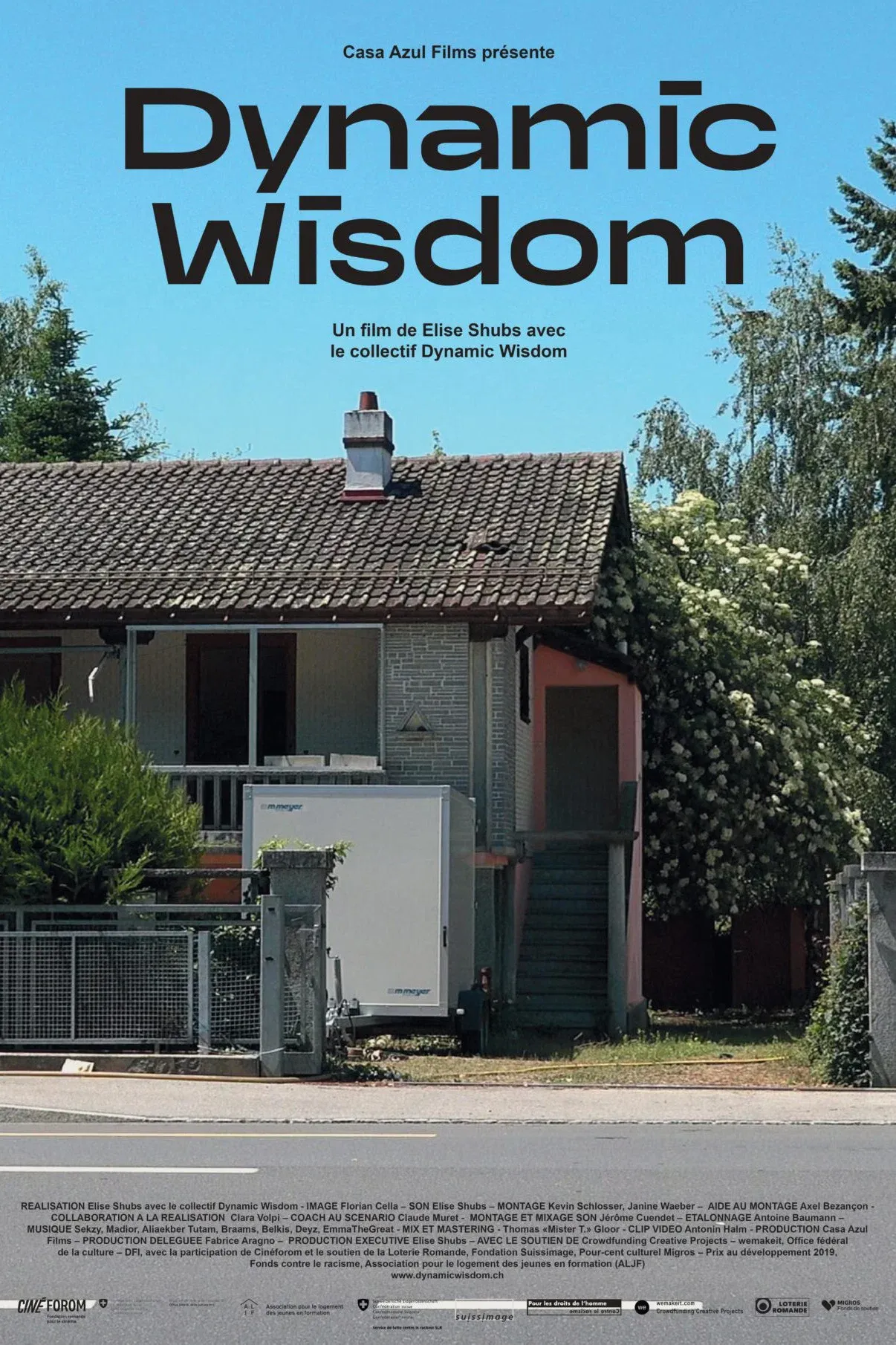 Poster for Dynamic Wisdom