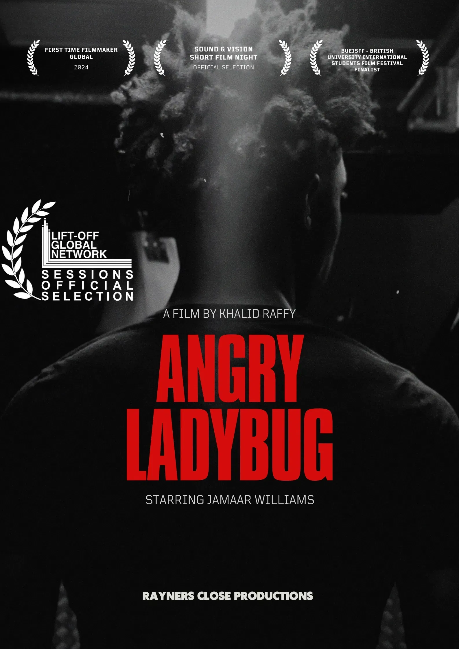 Poster of the movie Angry Ladybug