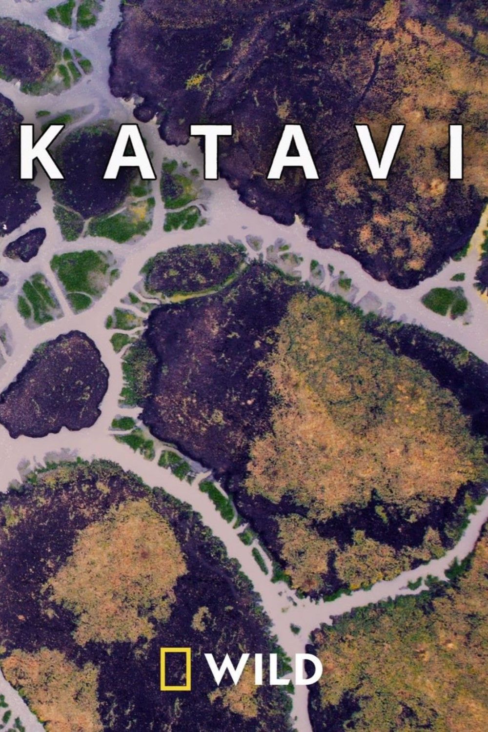 Poster of Katavi Africa's Fallen Paradise