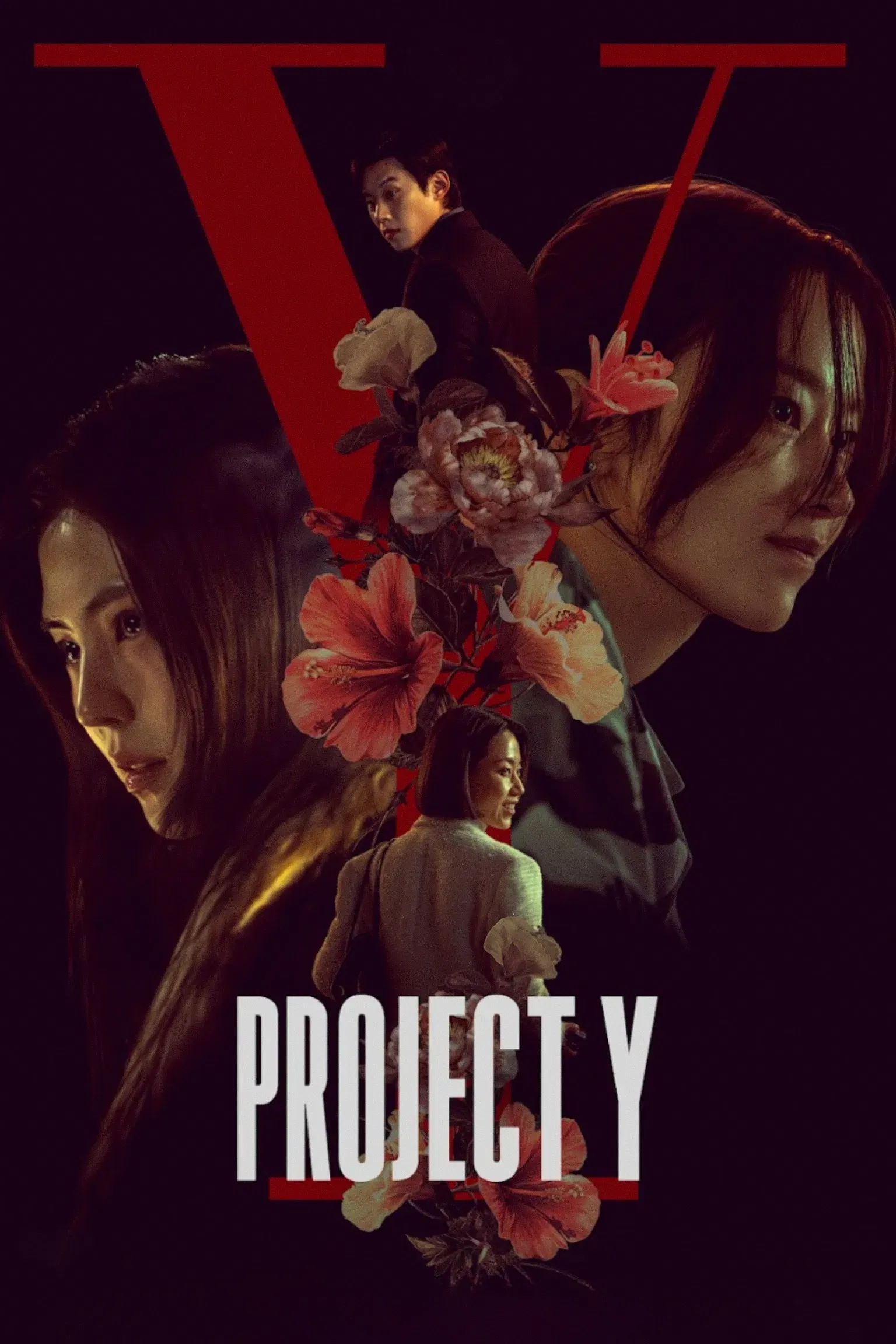 Poster for Project Y