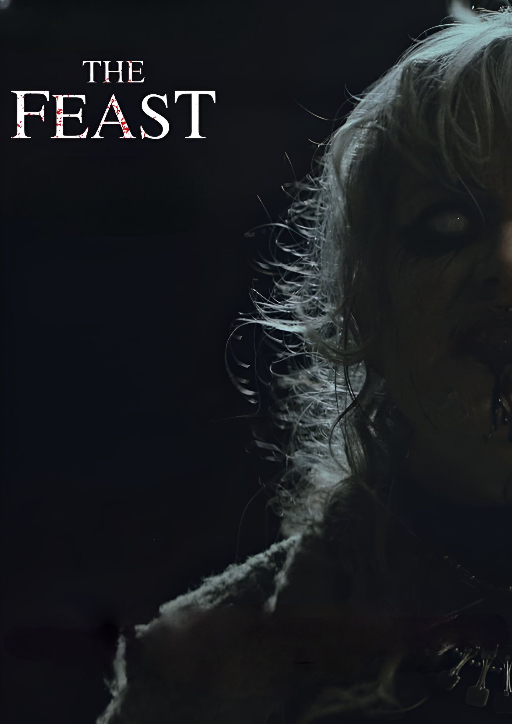 Poster of the movie The Feast