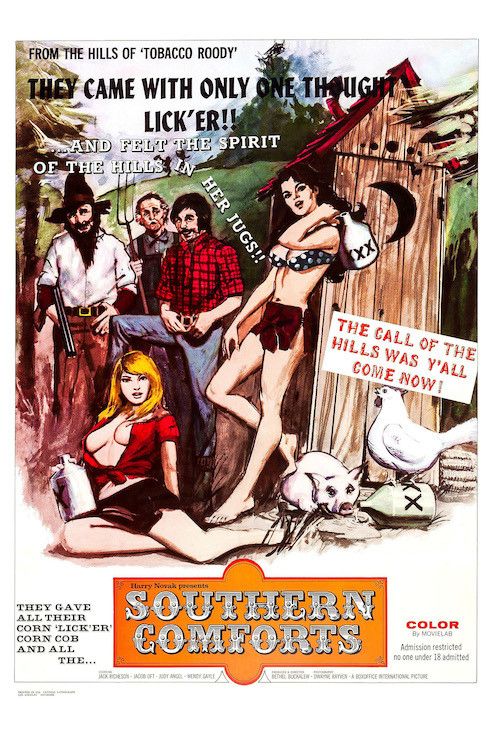 Poster of the movie Southern Comforts