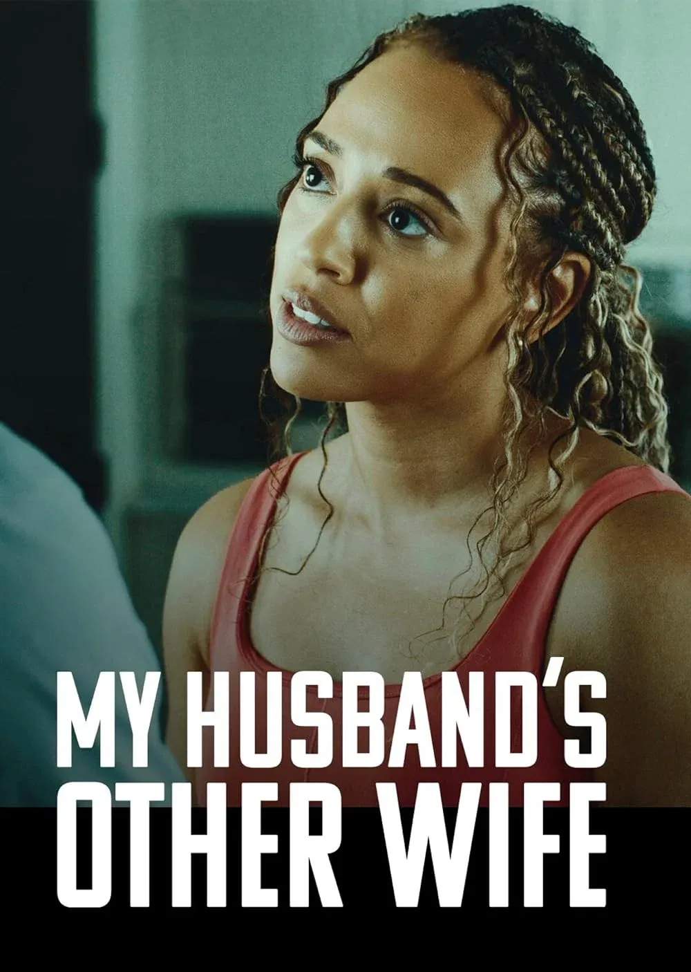 Poster for My Husband's Other Wife