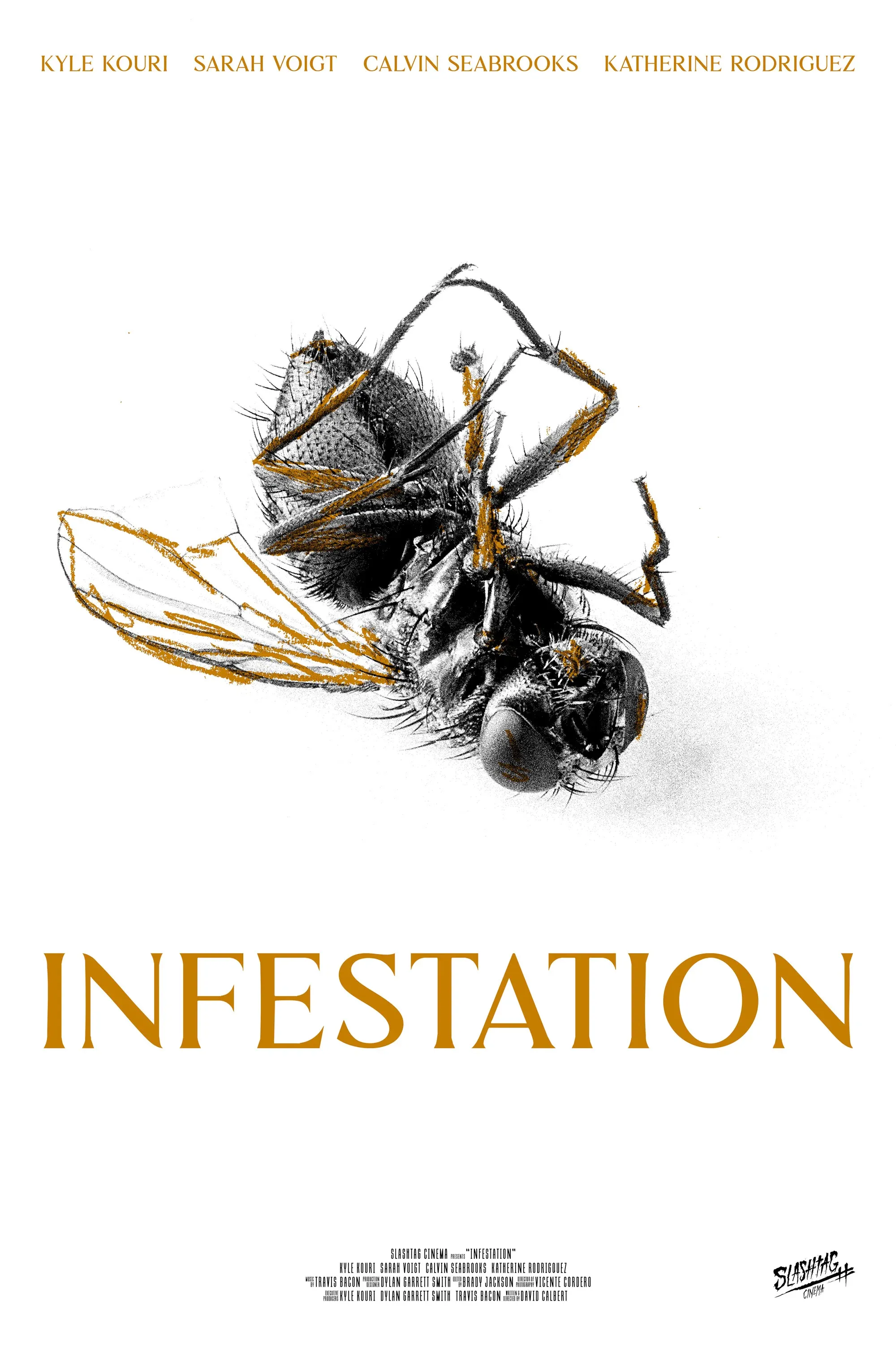 Poster for Infestation