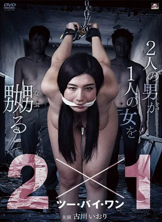 Poster of the movie 2x1
