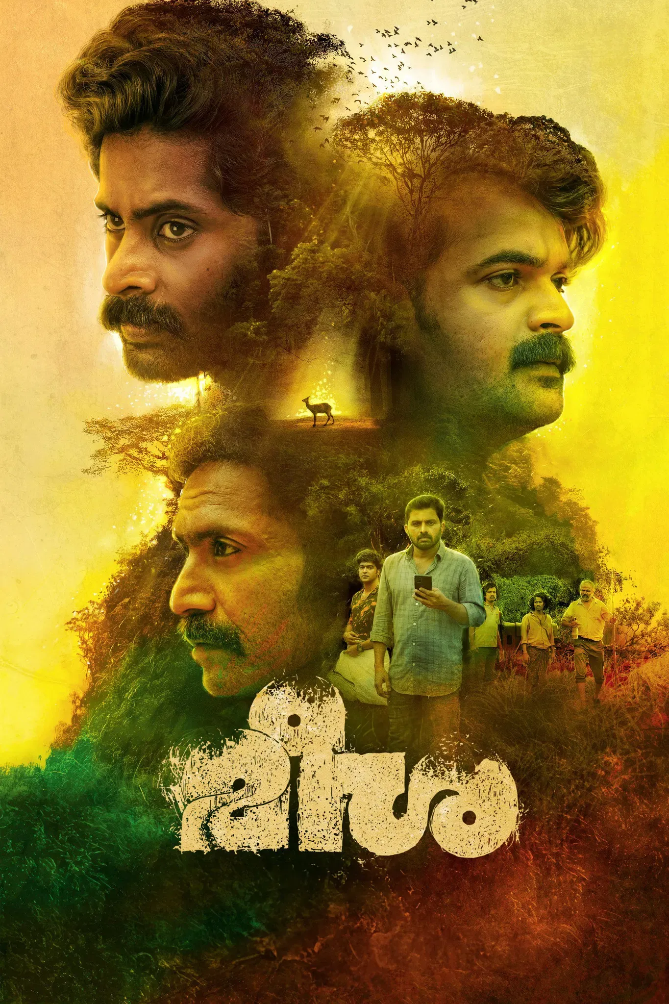 Poster of the movie Meesha