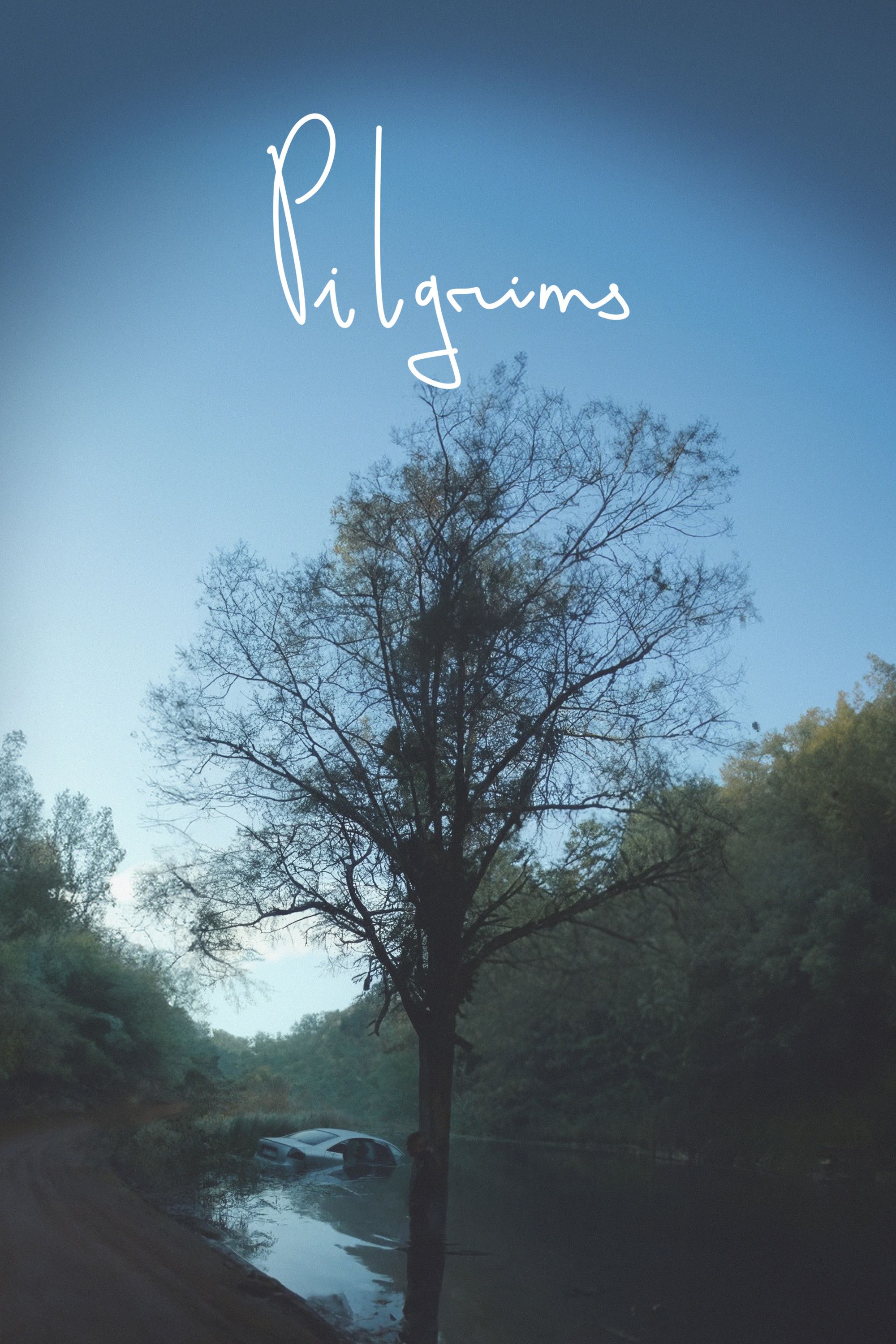 Poster of the movie Pilgrims