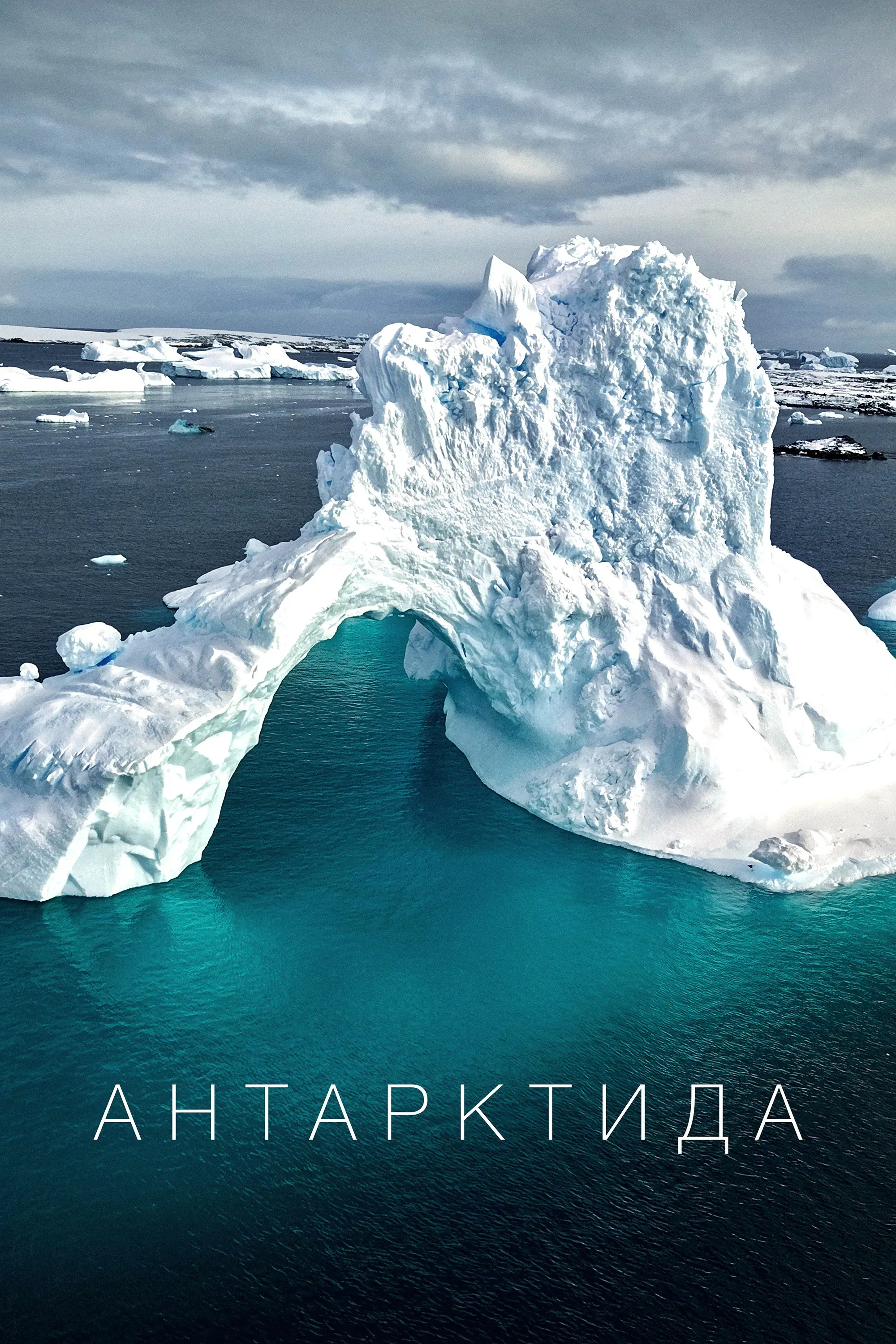 Poster of the movie Antarctica