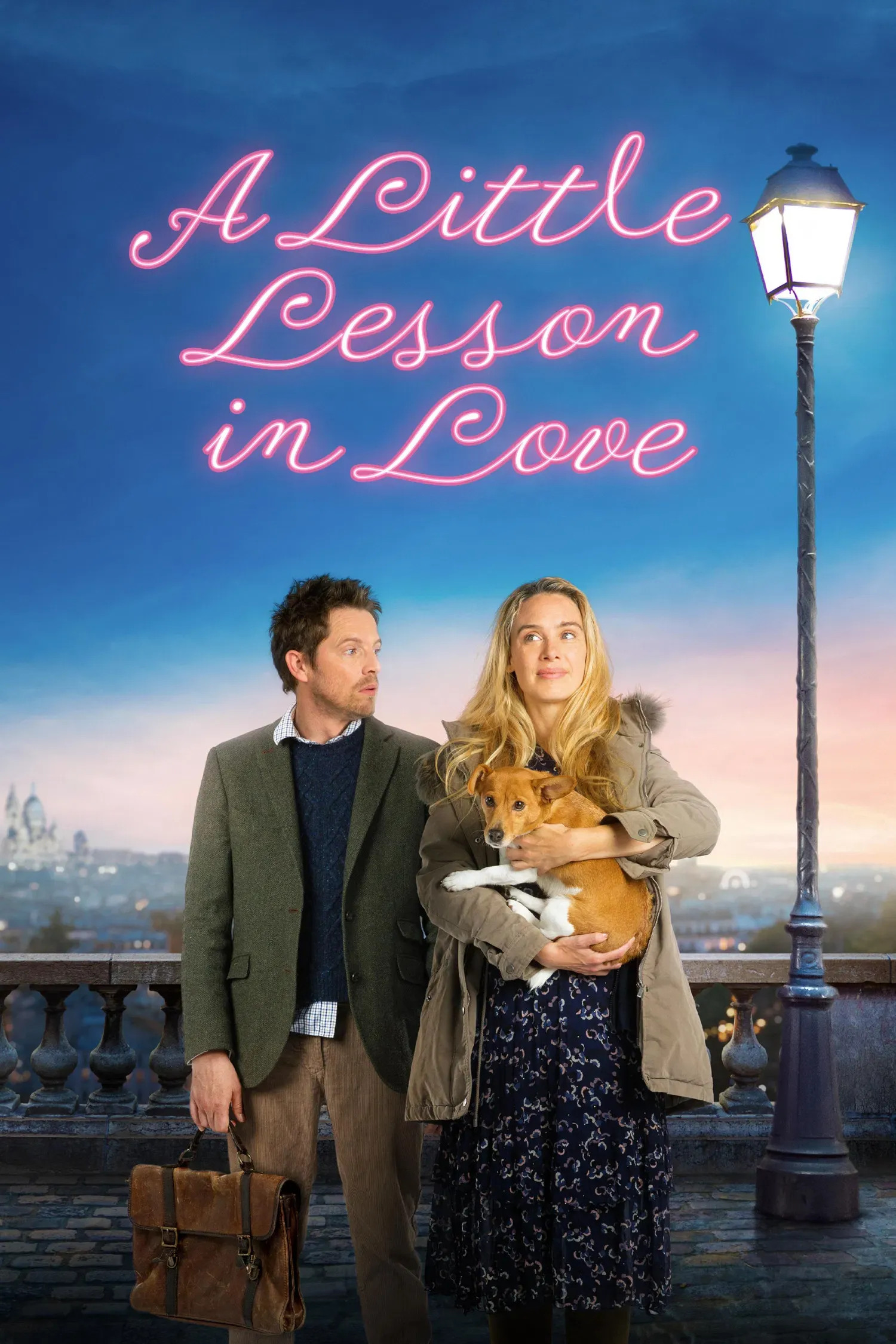 Poster of the movie A Little Lesson in Love