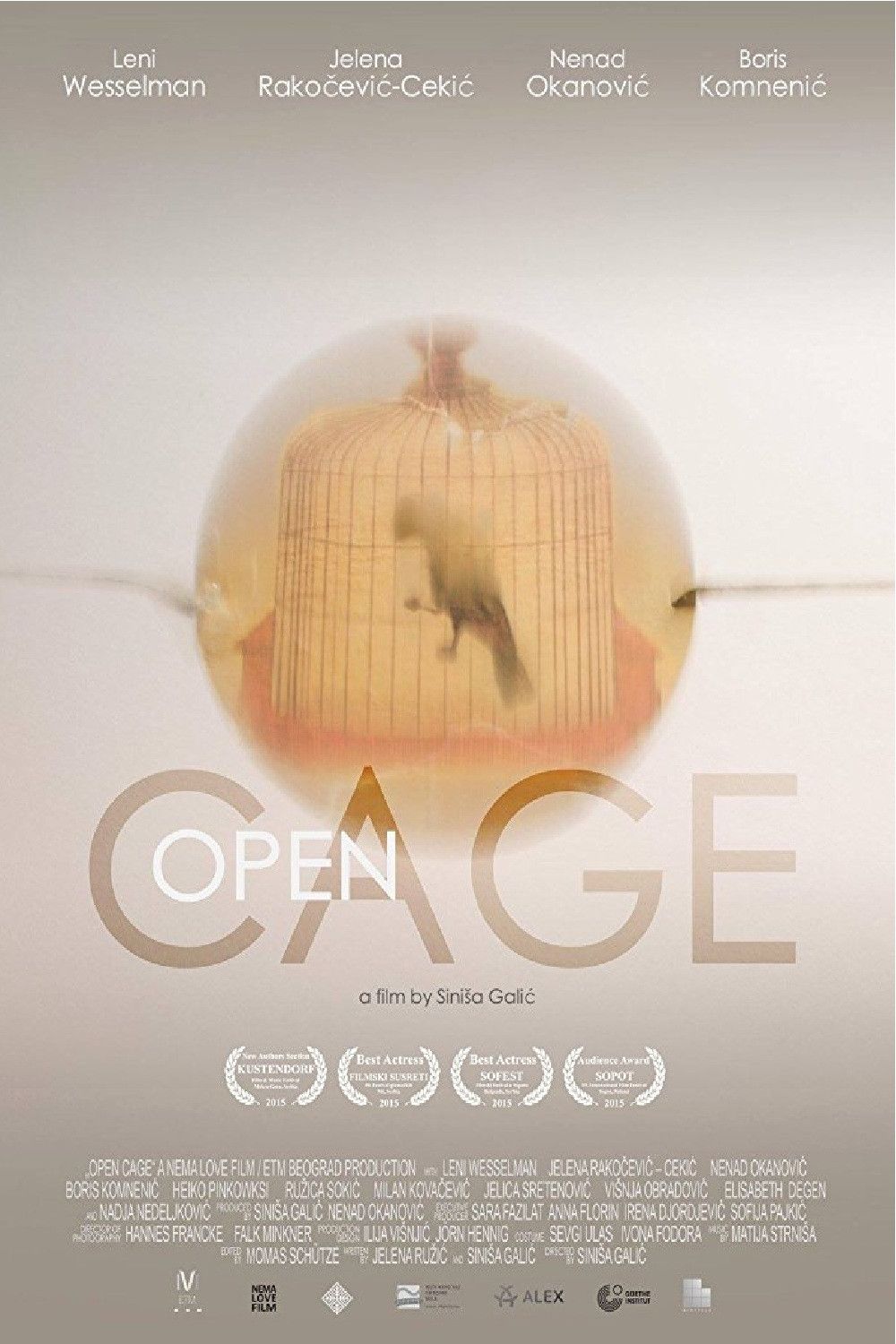 Poster of the movie Open Cage
