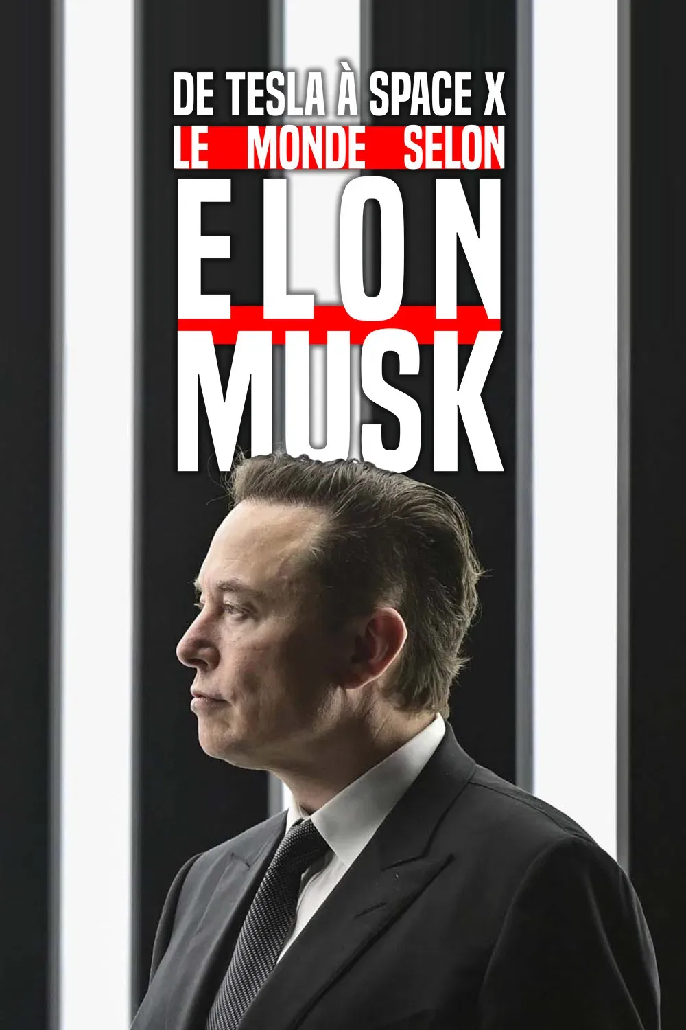 Poster of the movie From Tesla to SpaceX, the World According to Elon Musk