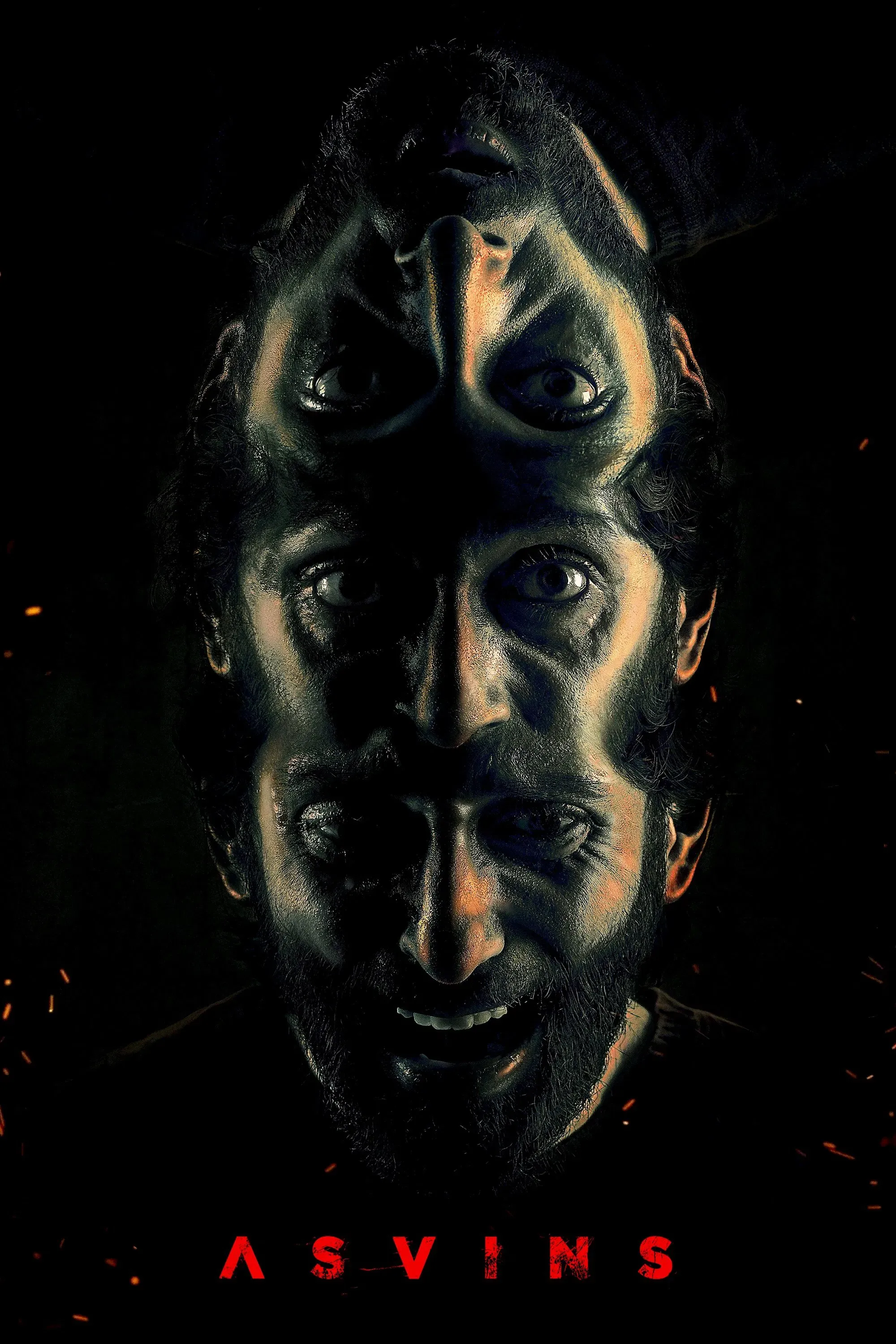 Poster of the movie Asvins