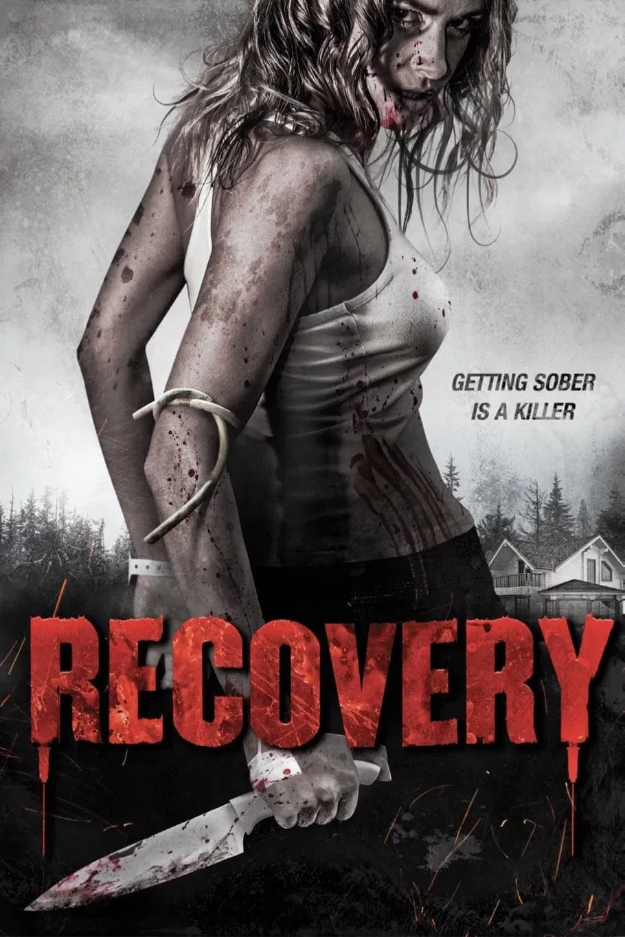 Poster of the movie Recovery