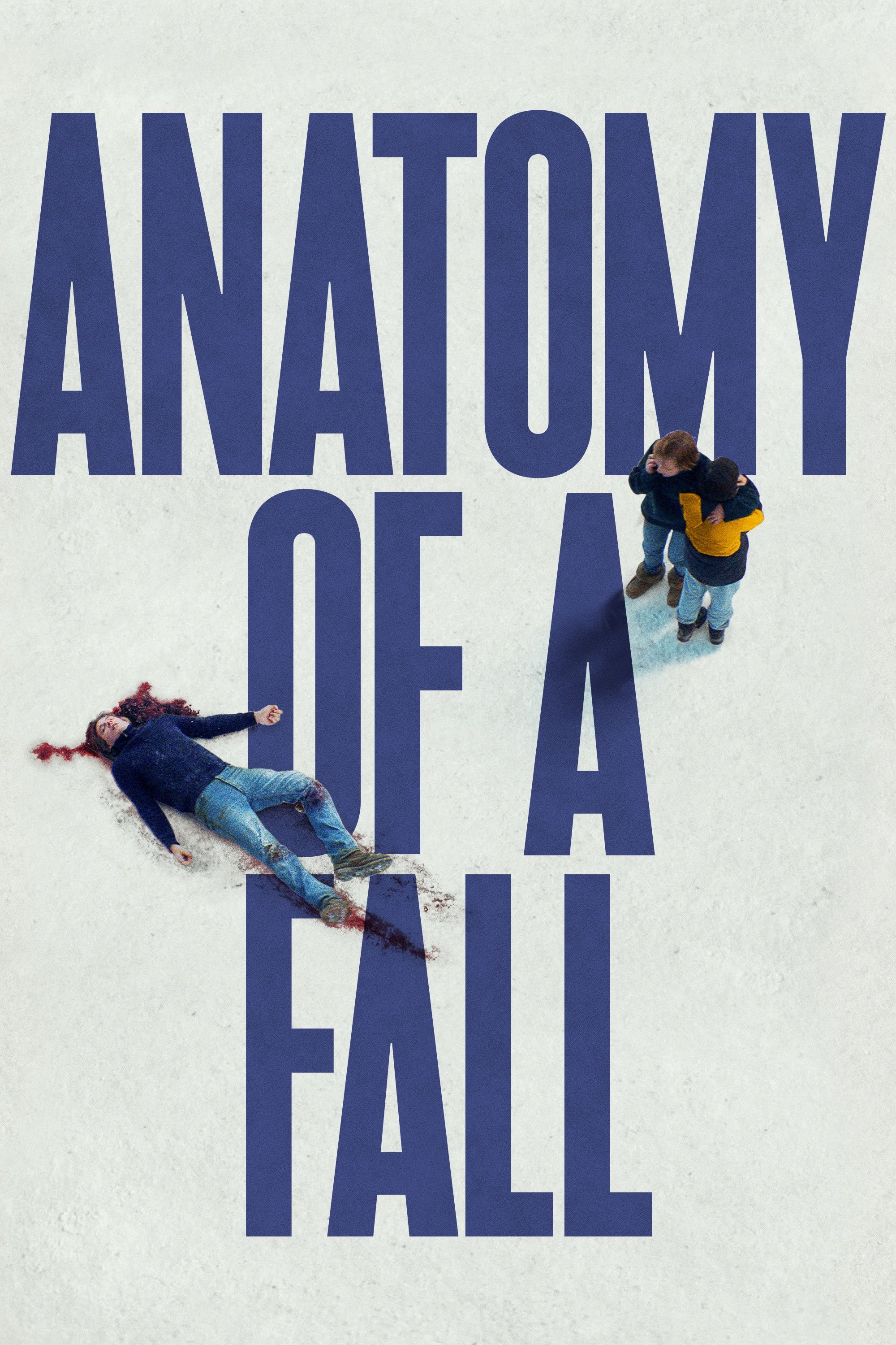 Poster for Anatomy of a Fall