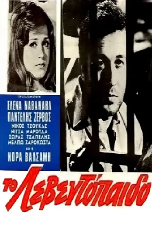 Poster of the movie The Leventopaido