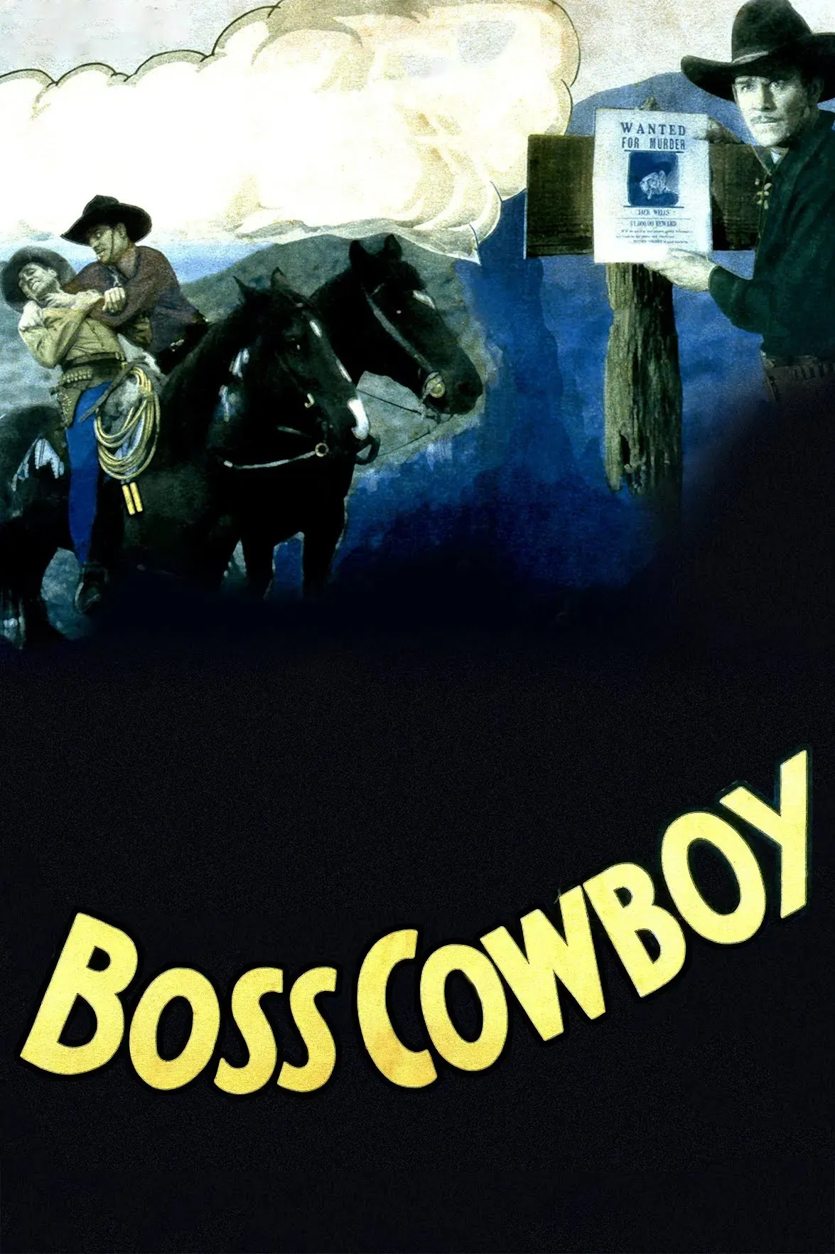 Poster of the movie The Boss Cowboy