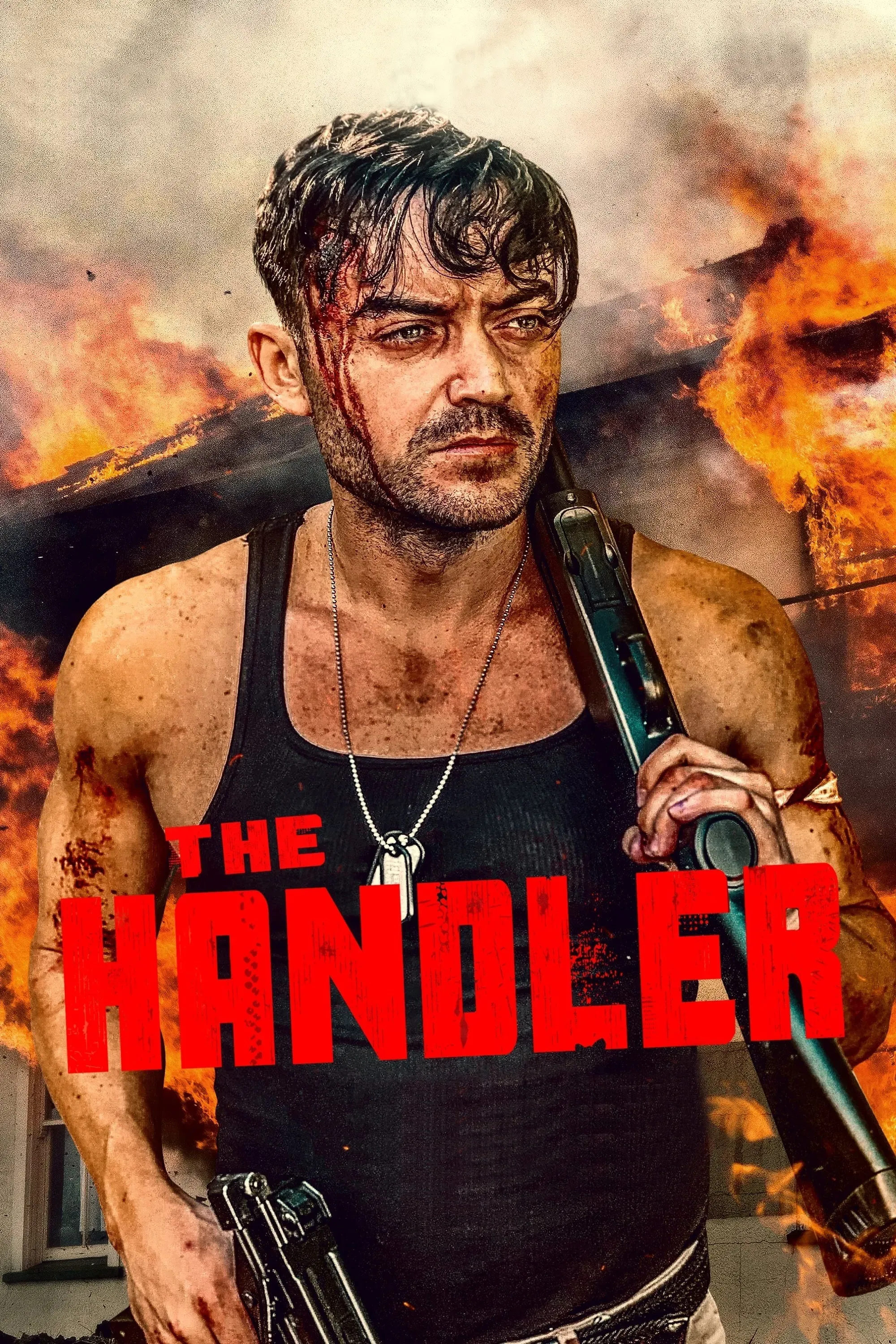 Poster of the movie The Handler