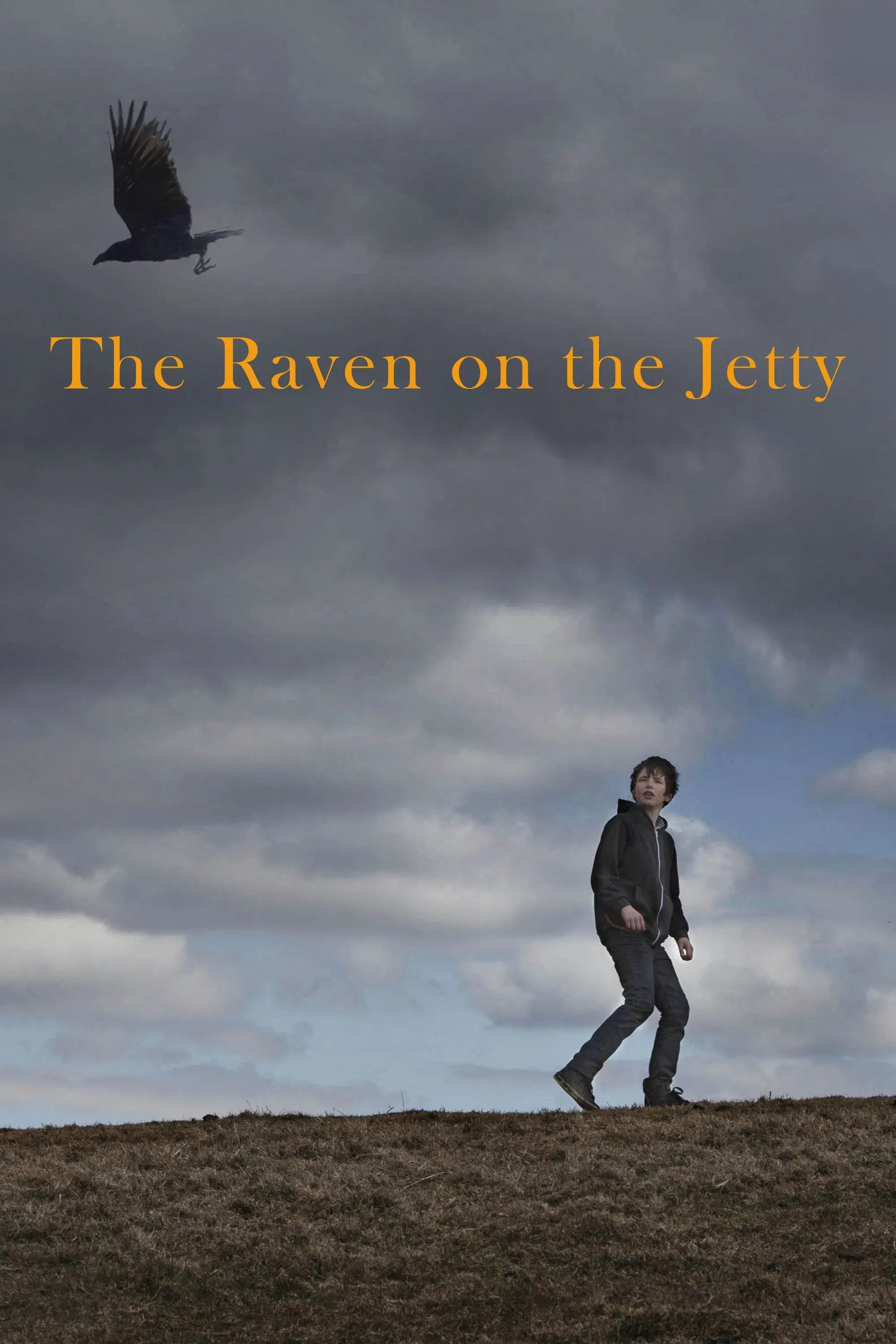 Poster of the movie The Raven on the Jetty