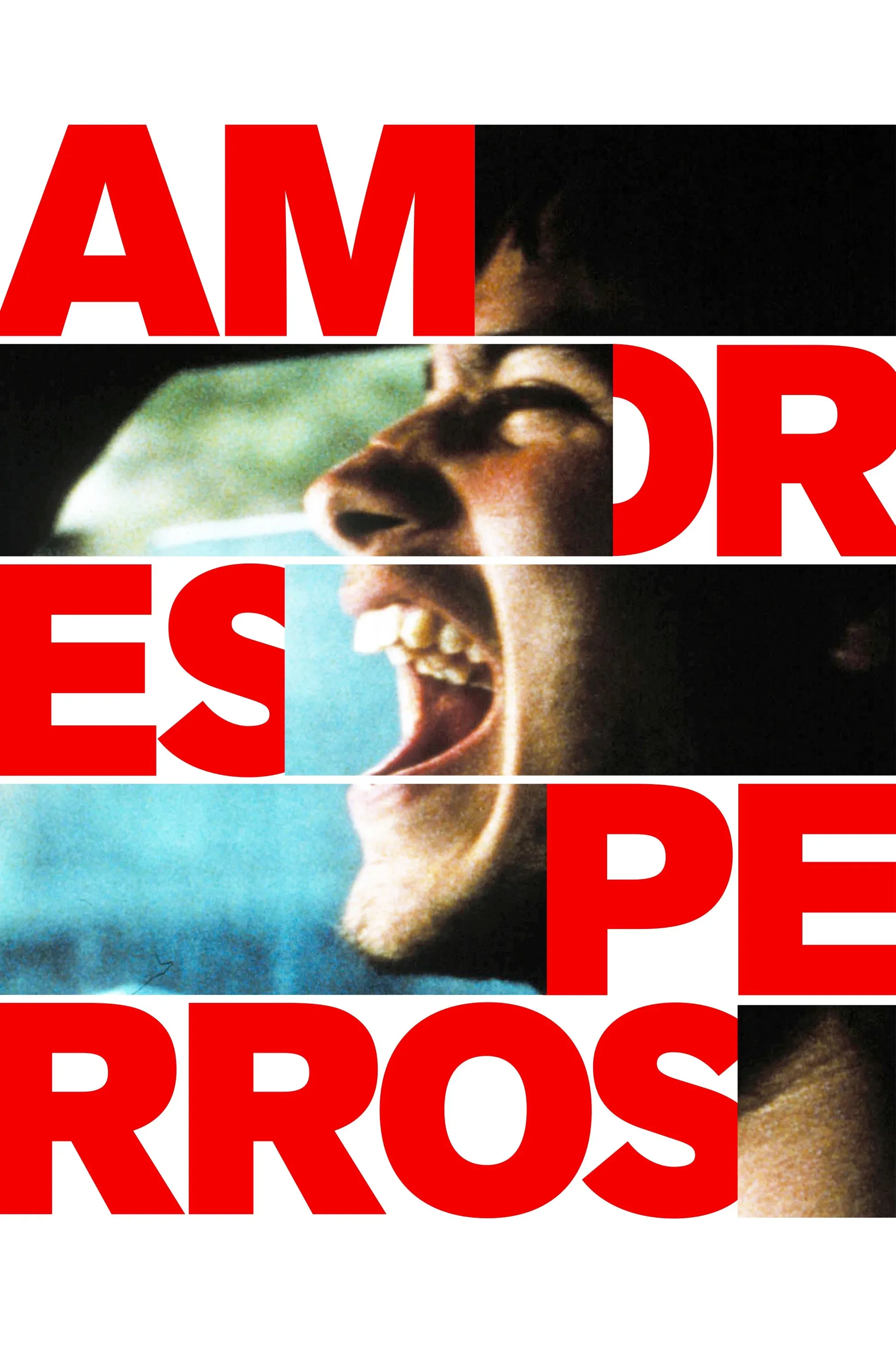 Poster of the movie Amores Perros