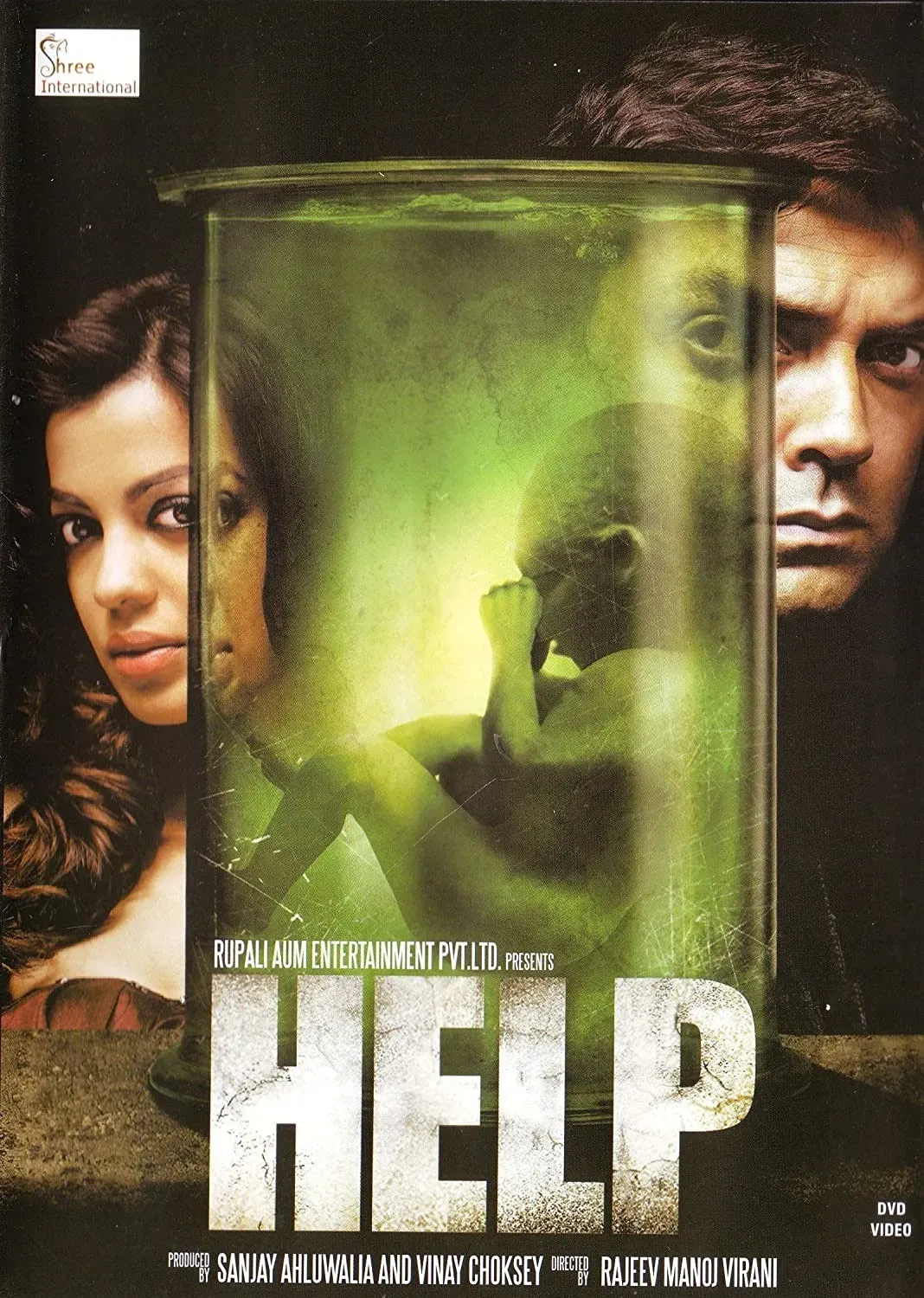 Poster of the movie Help