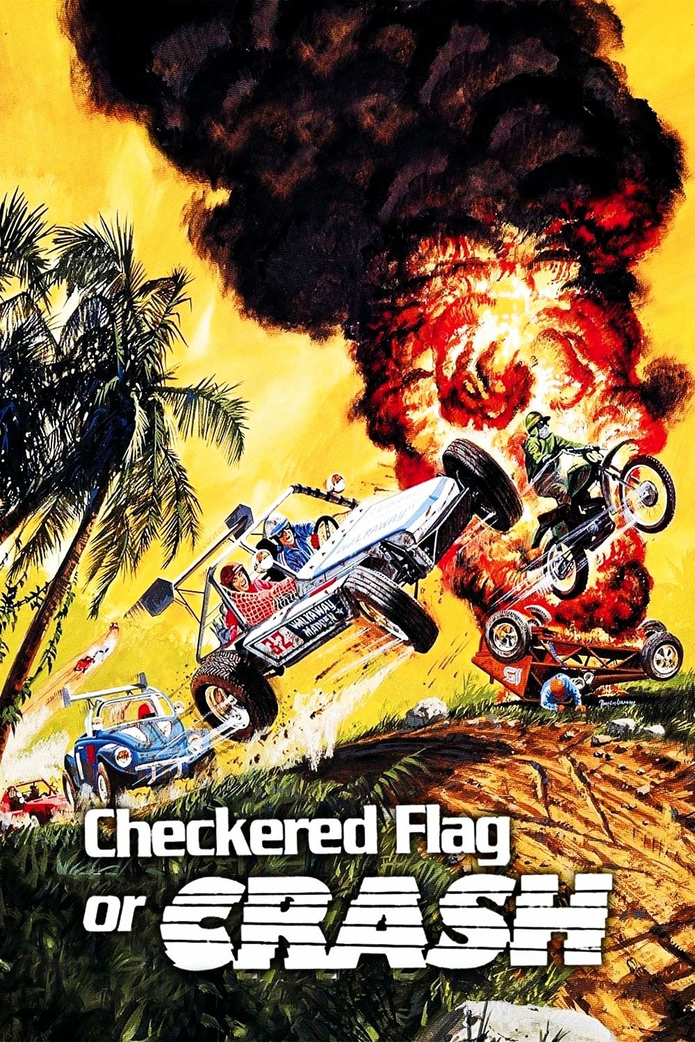 Poster of the movie Checkered Flag or Crash