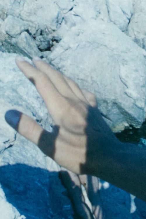 Poster for Winged Dialogue