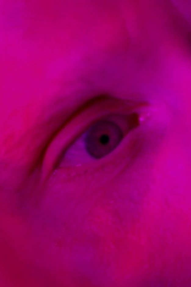 Poster of the movie Endliche Erinnerungen