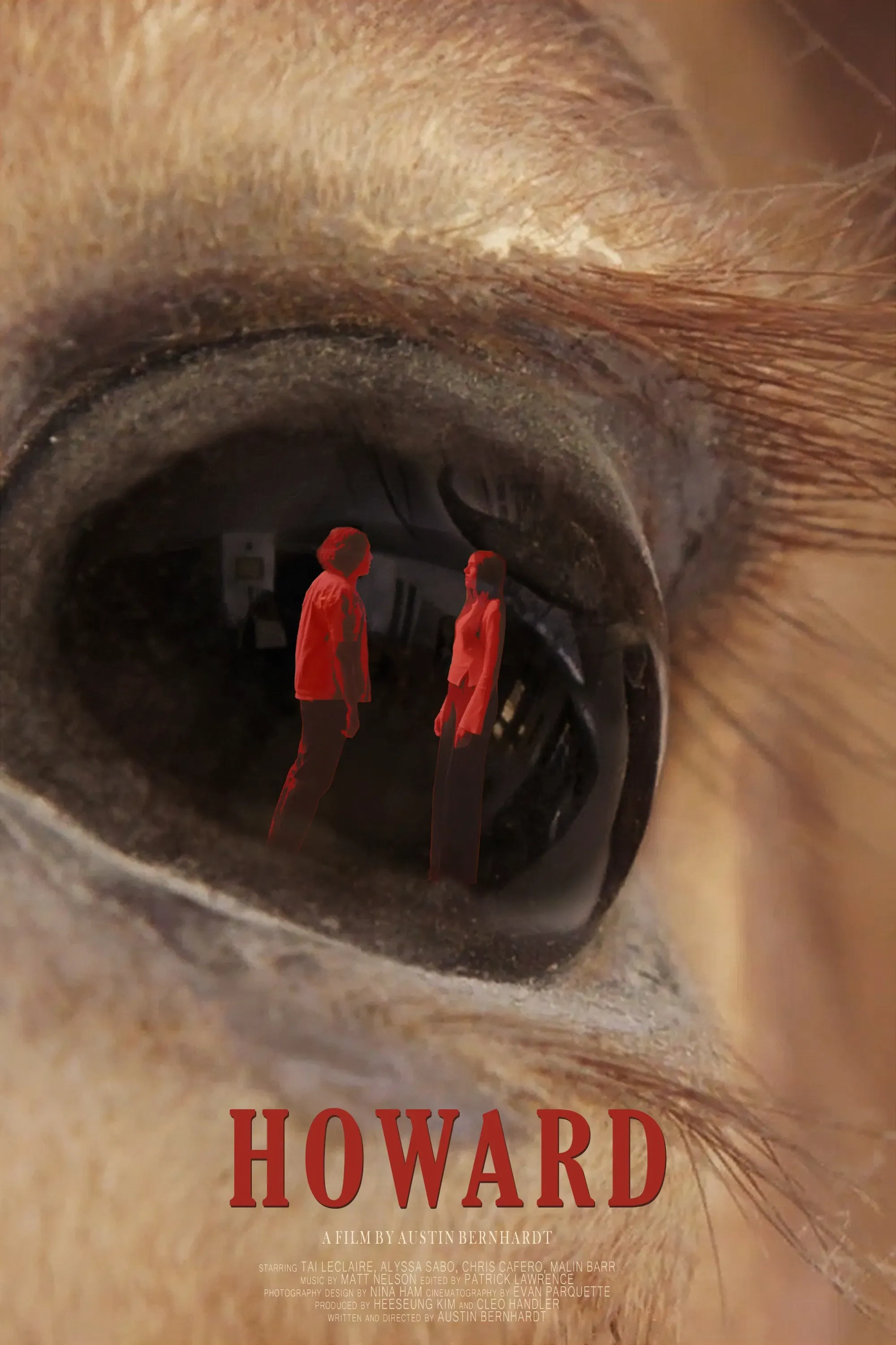 Poster of the movie Howard