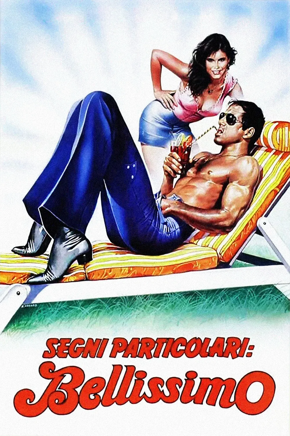 Poster of the movie Special Features: Handsome