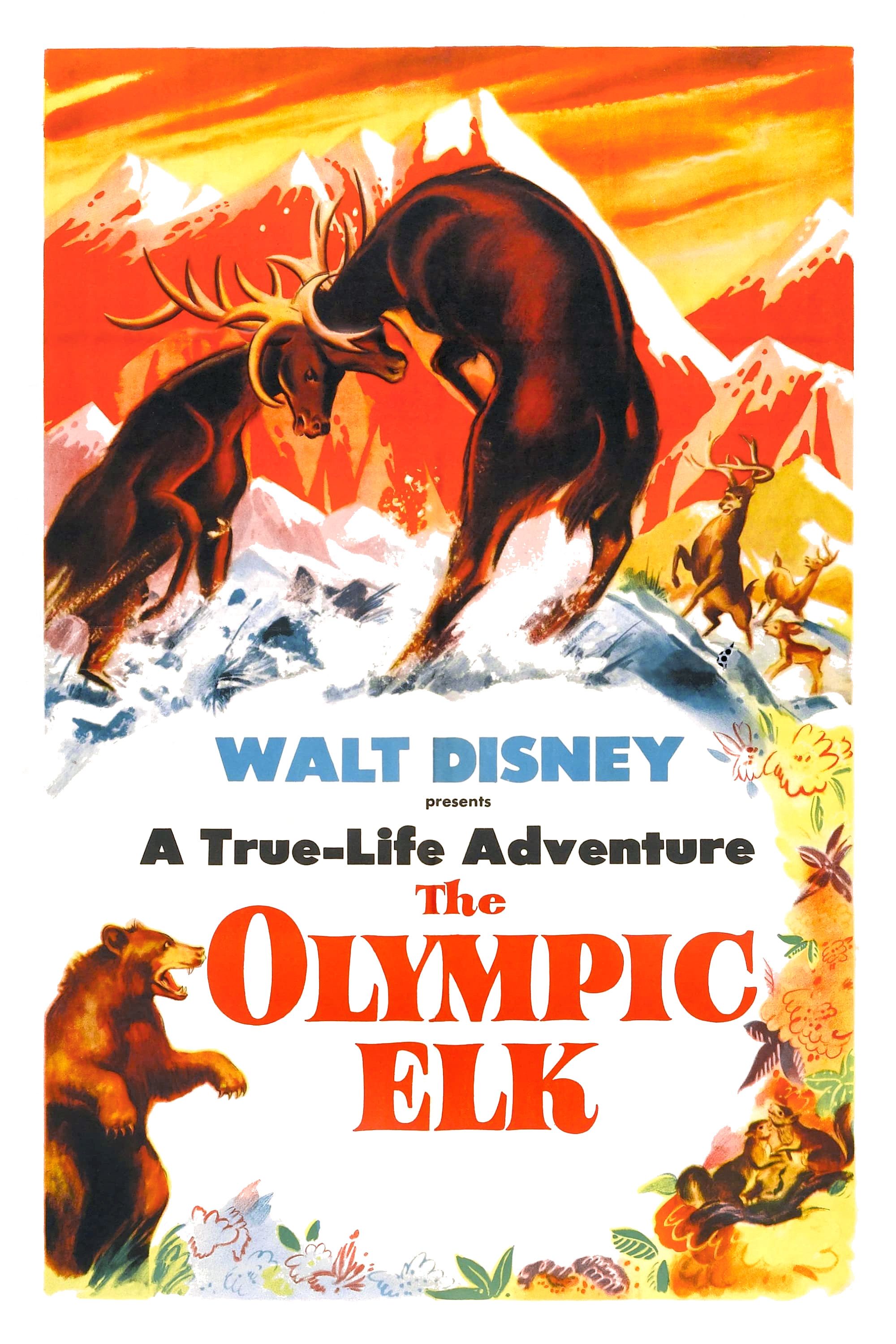 Poster of the movie The Olympic Elk