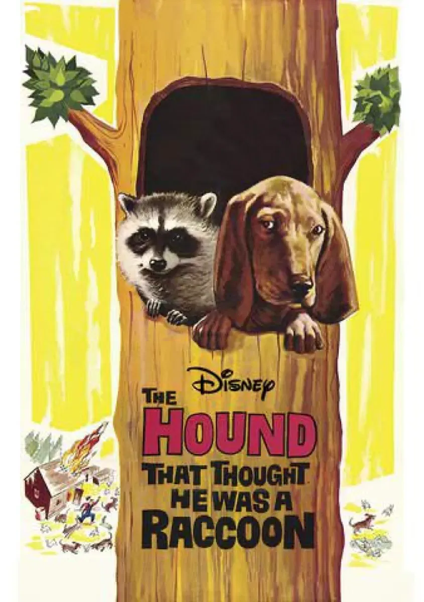 Poster of the movie The Hound That Thought He Was a Raccoon