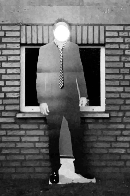 Poster of the movie Ein Mann, der keinen Hund filmt