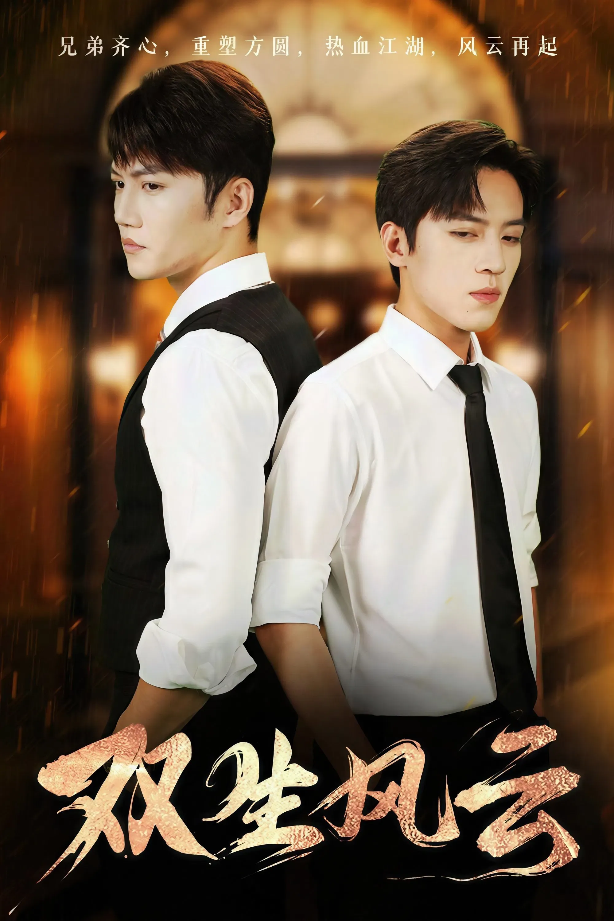 Poster of 双生风云