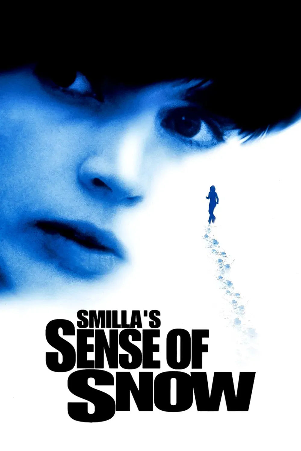 Poster of the movie Smilla's Sense of Snow