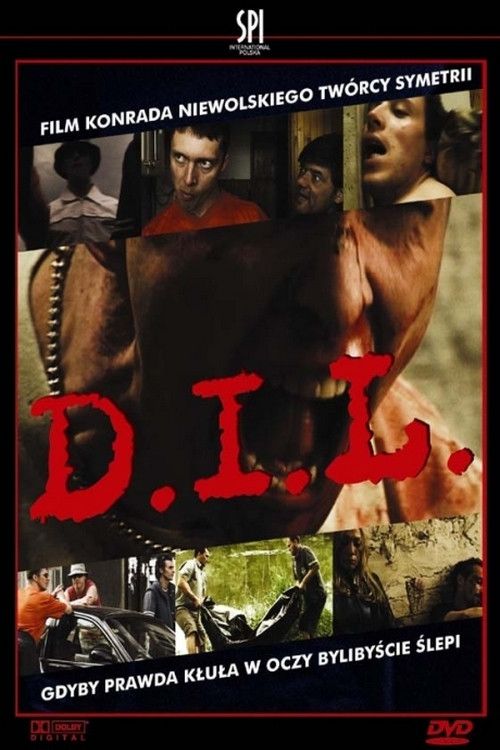 Poster of the movie D.I.L.