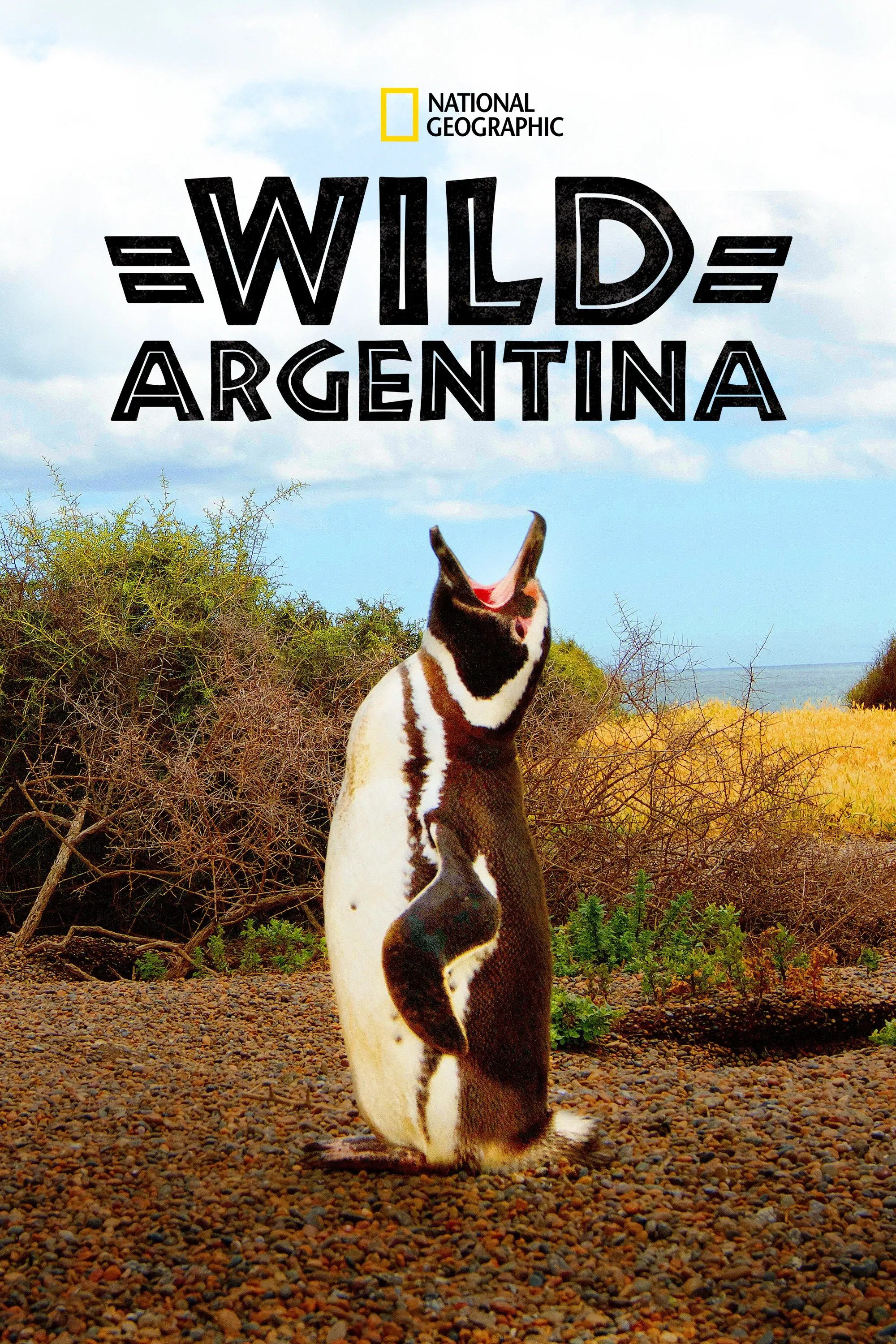 Poster of Wild Argentina