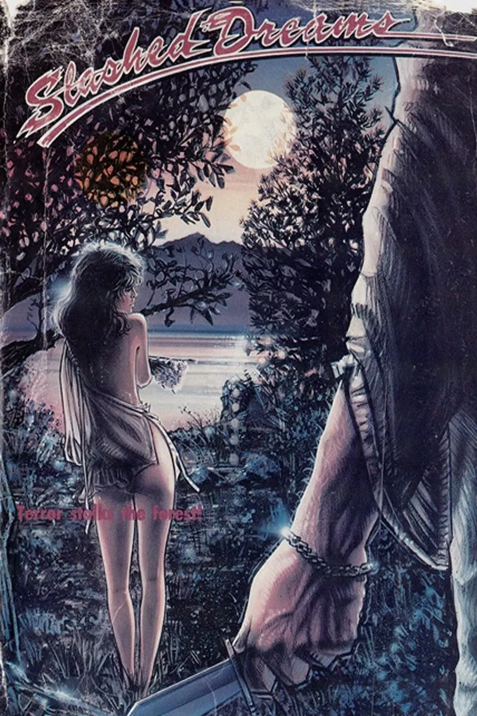 Poster of the movie Slashed Dreams