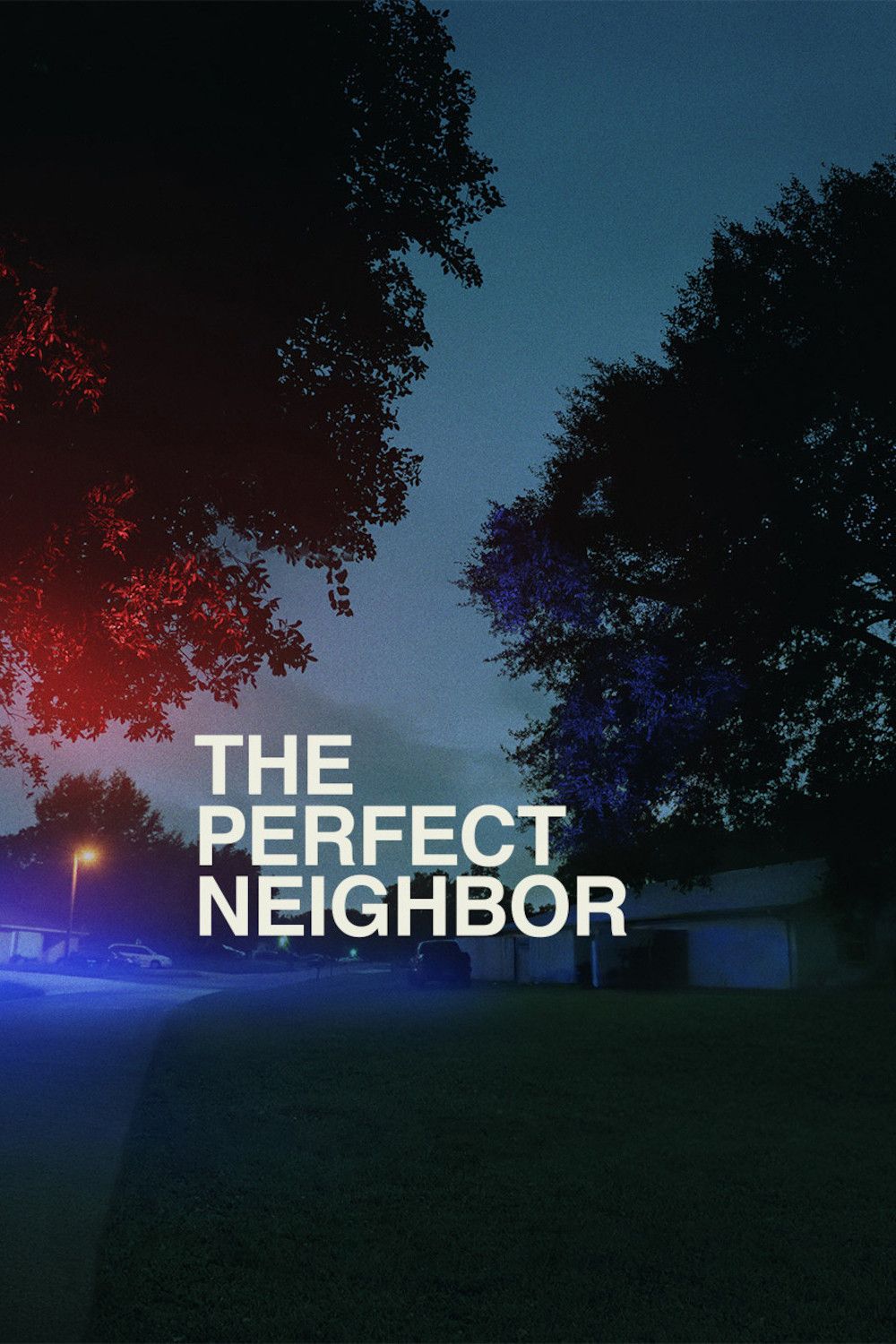 Poster of the movie The Perfect Neighbor