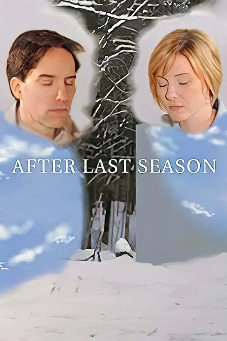Poster of the movie After Last Season
