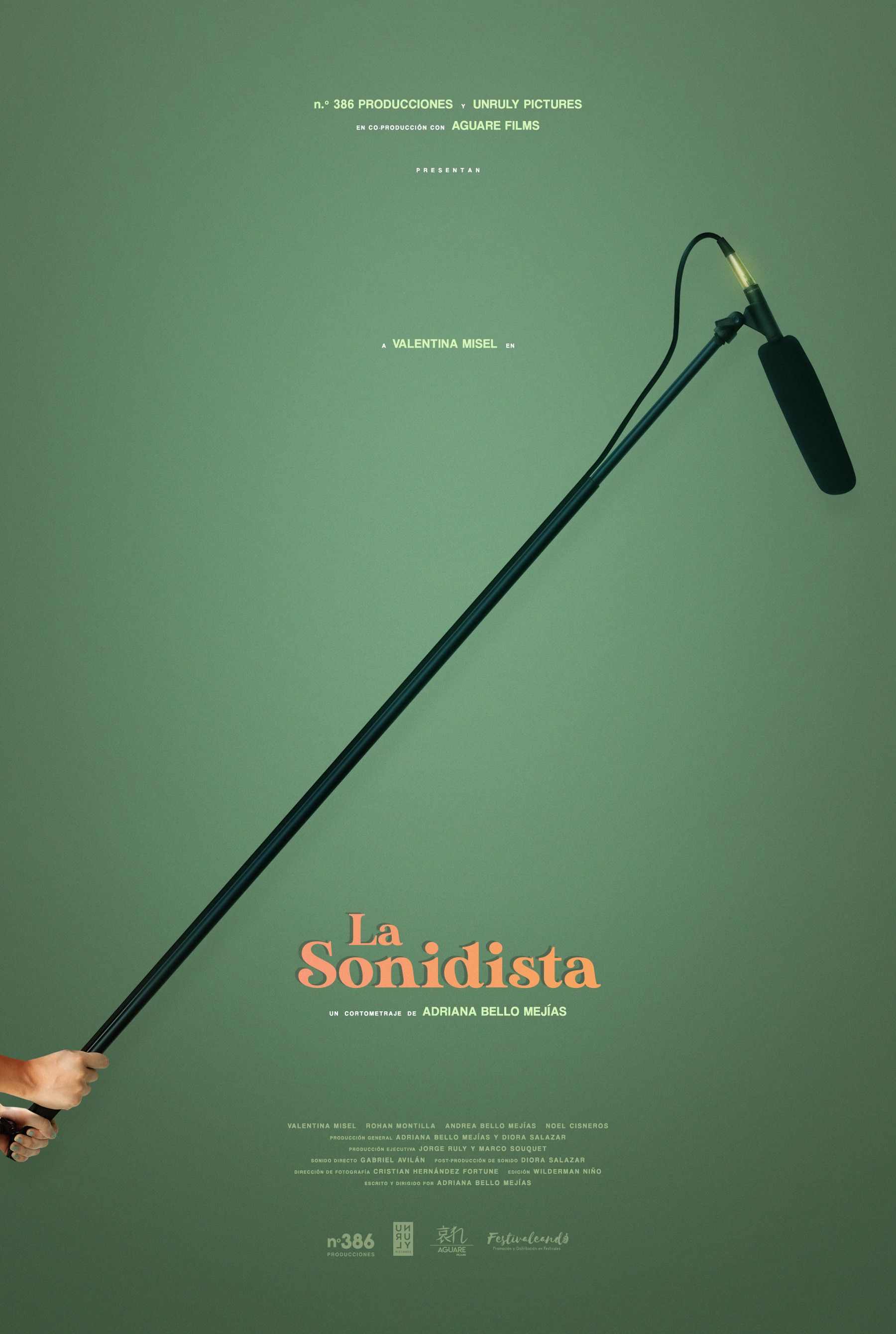Poster for La Sonidista