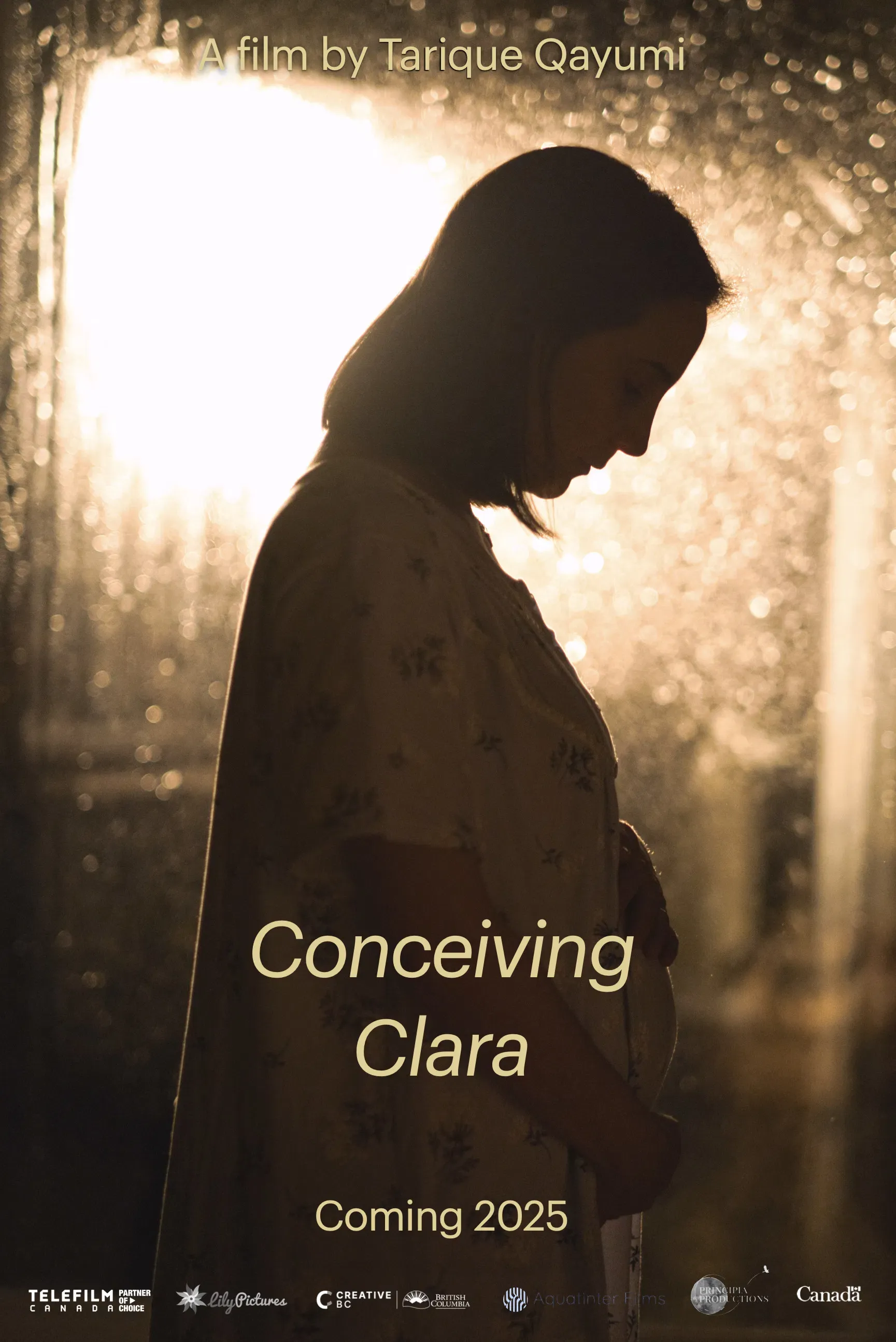 Poster of the movie Conceiving Clara